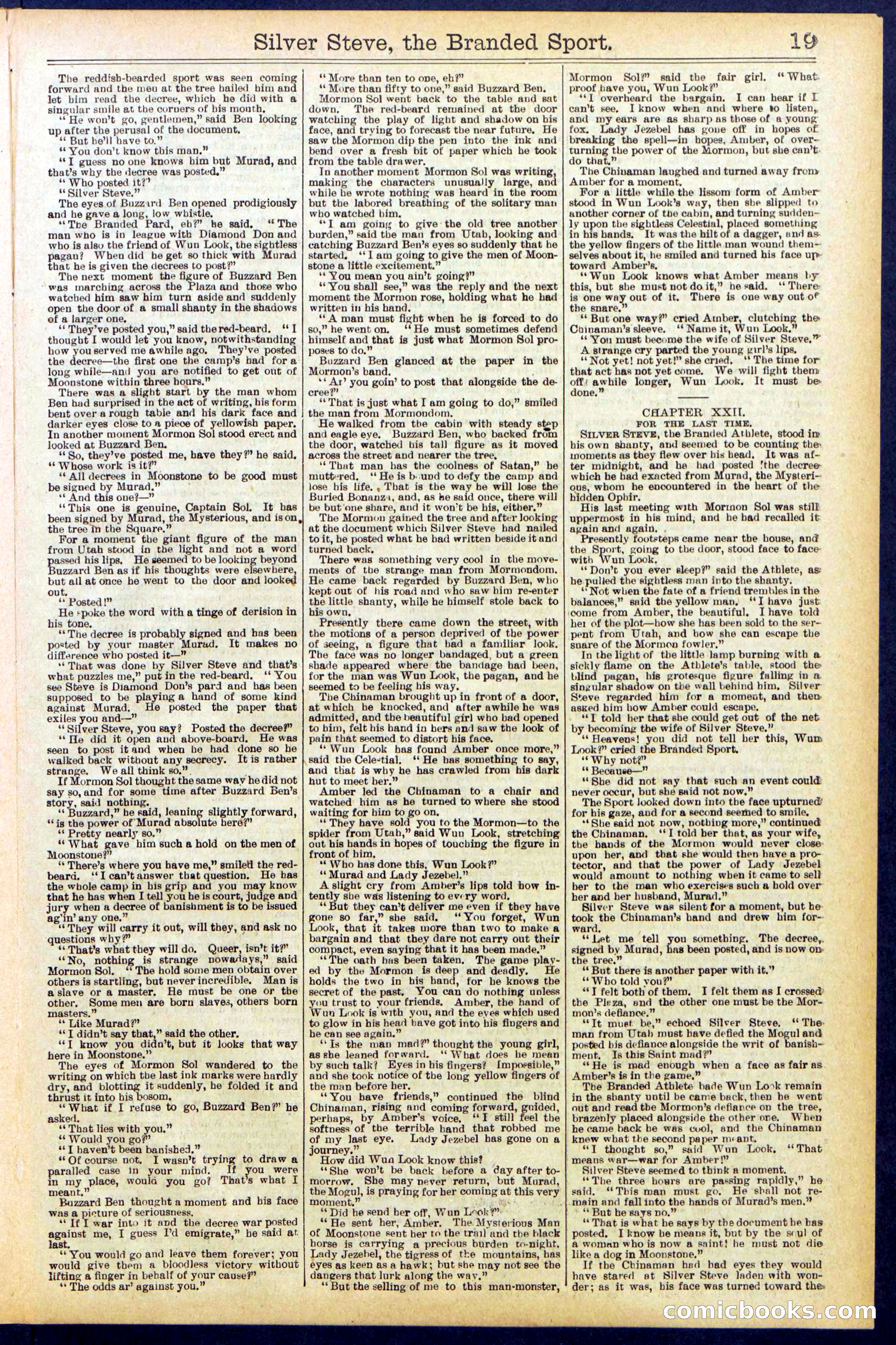 Beadle's New York Dime Library No. 701 — page 19 of 32