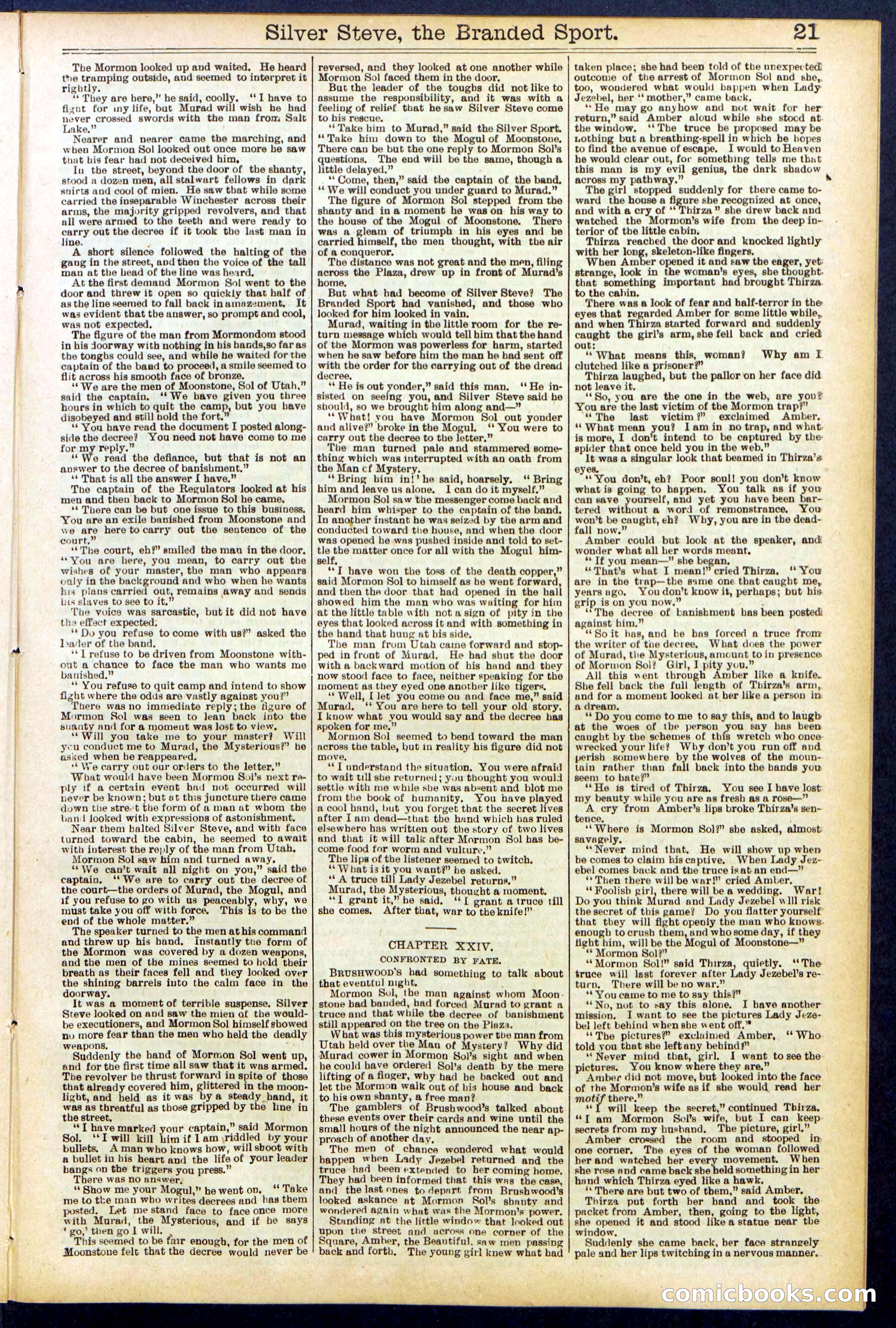 Beadle's New York Dime Library No. 701 — page 21 of 32