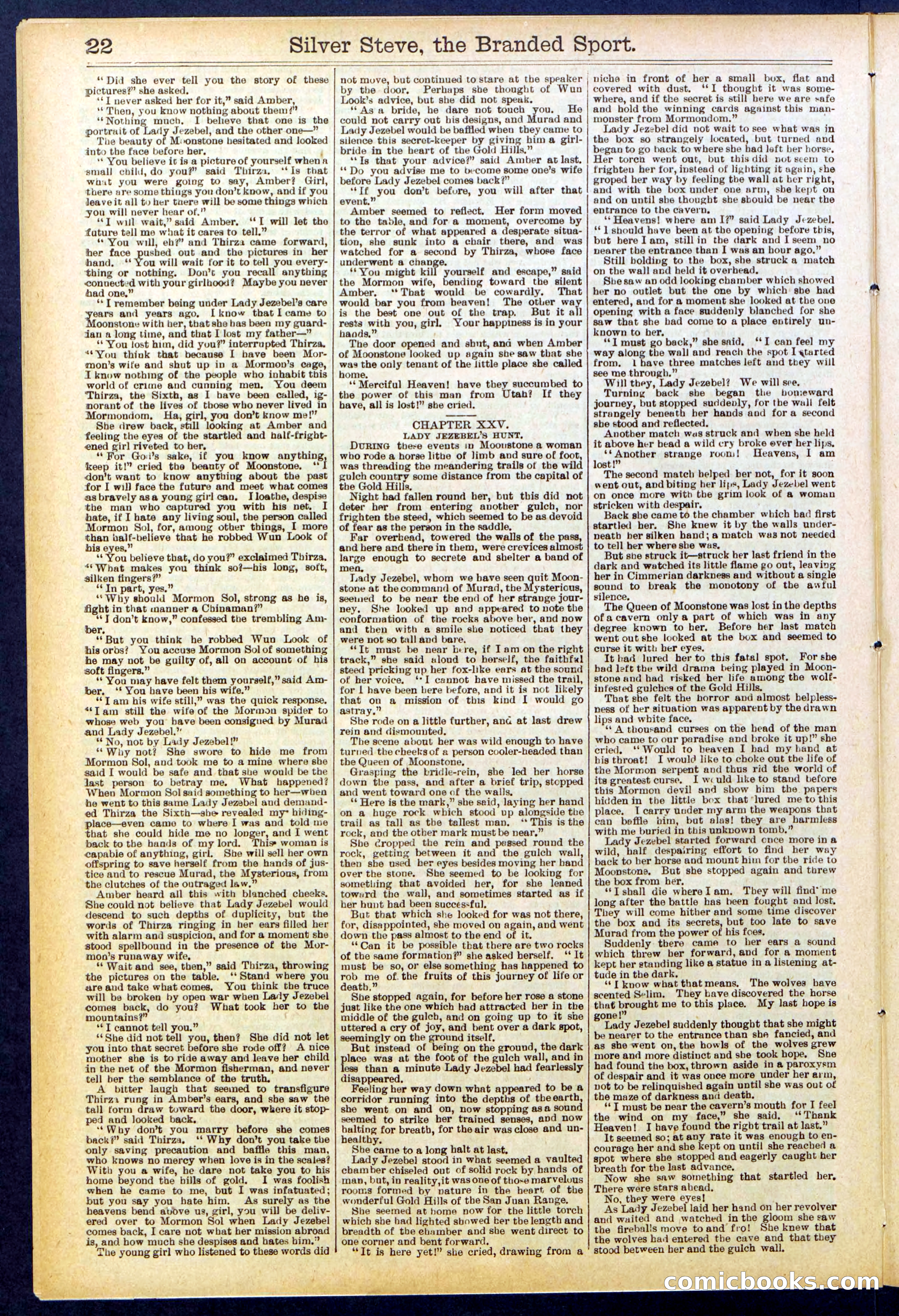 Beadle's New York Dime Library No. 701 — page 22 of 32