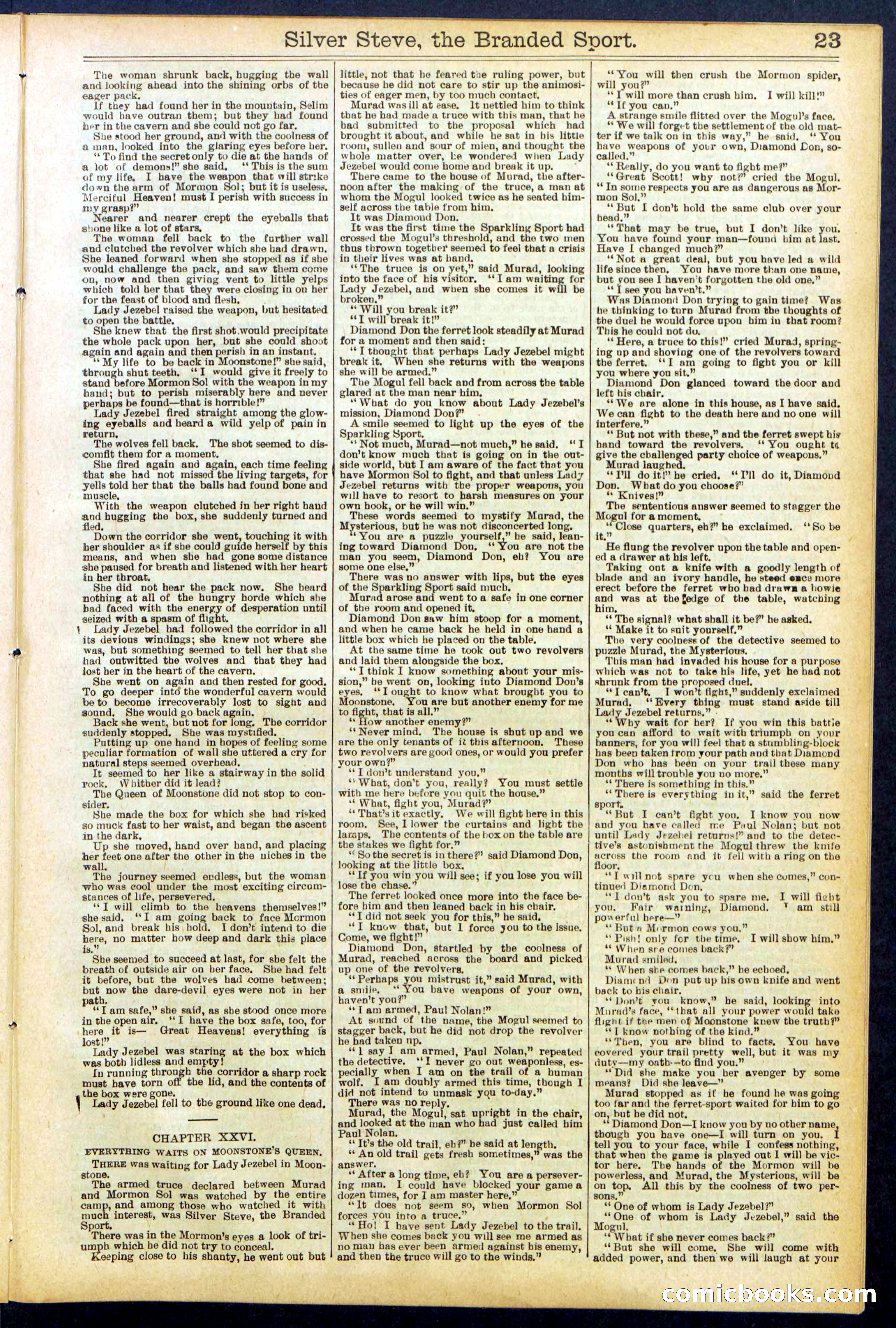 Beadle's New York Dime Library No. 701 — page 23 of 32