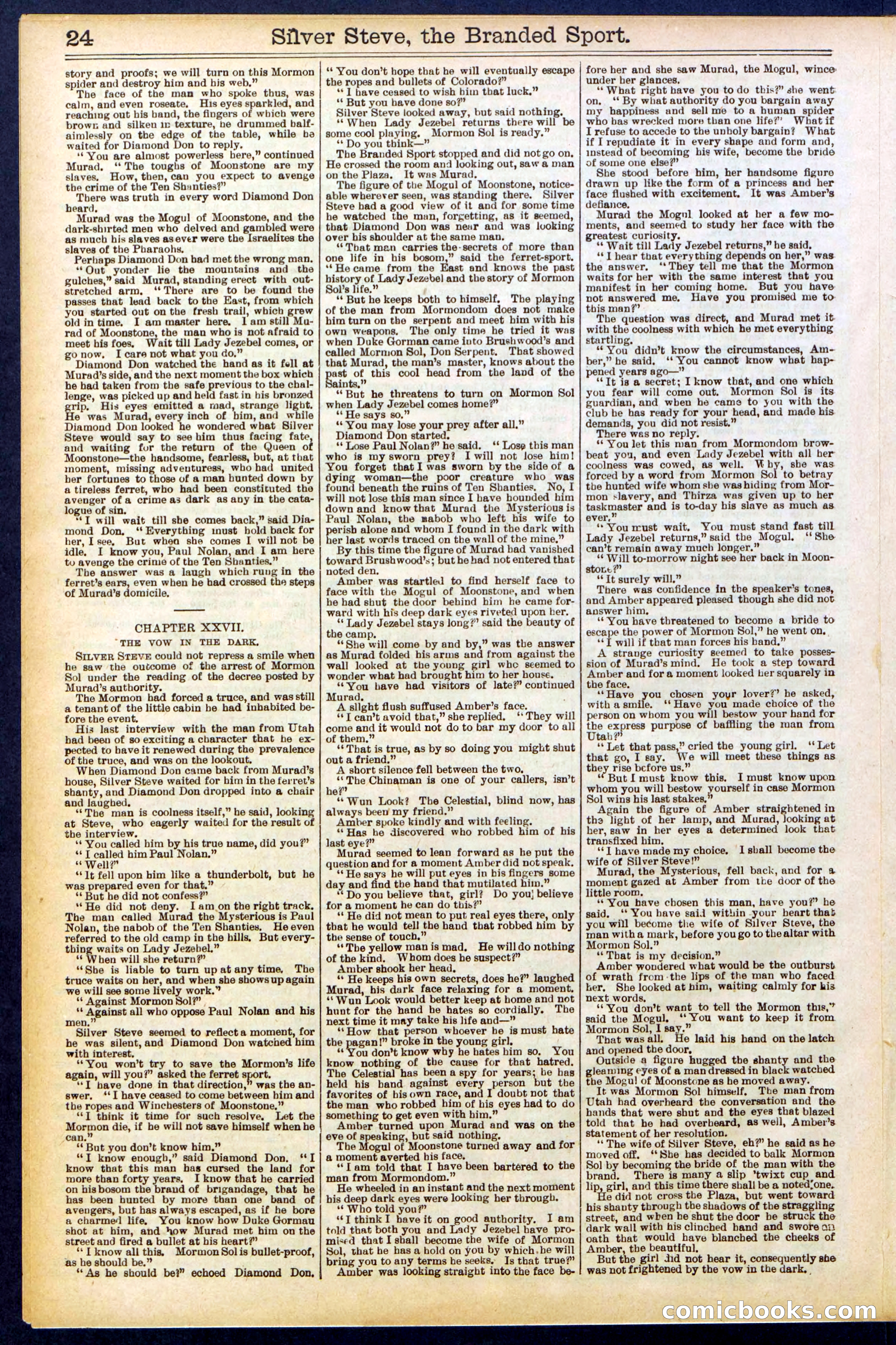 Beadle's New York Dime Library No. 701 — page 24 of 32