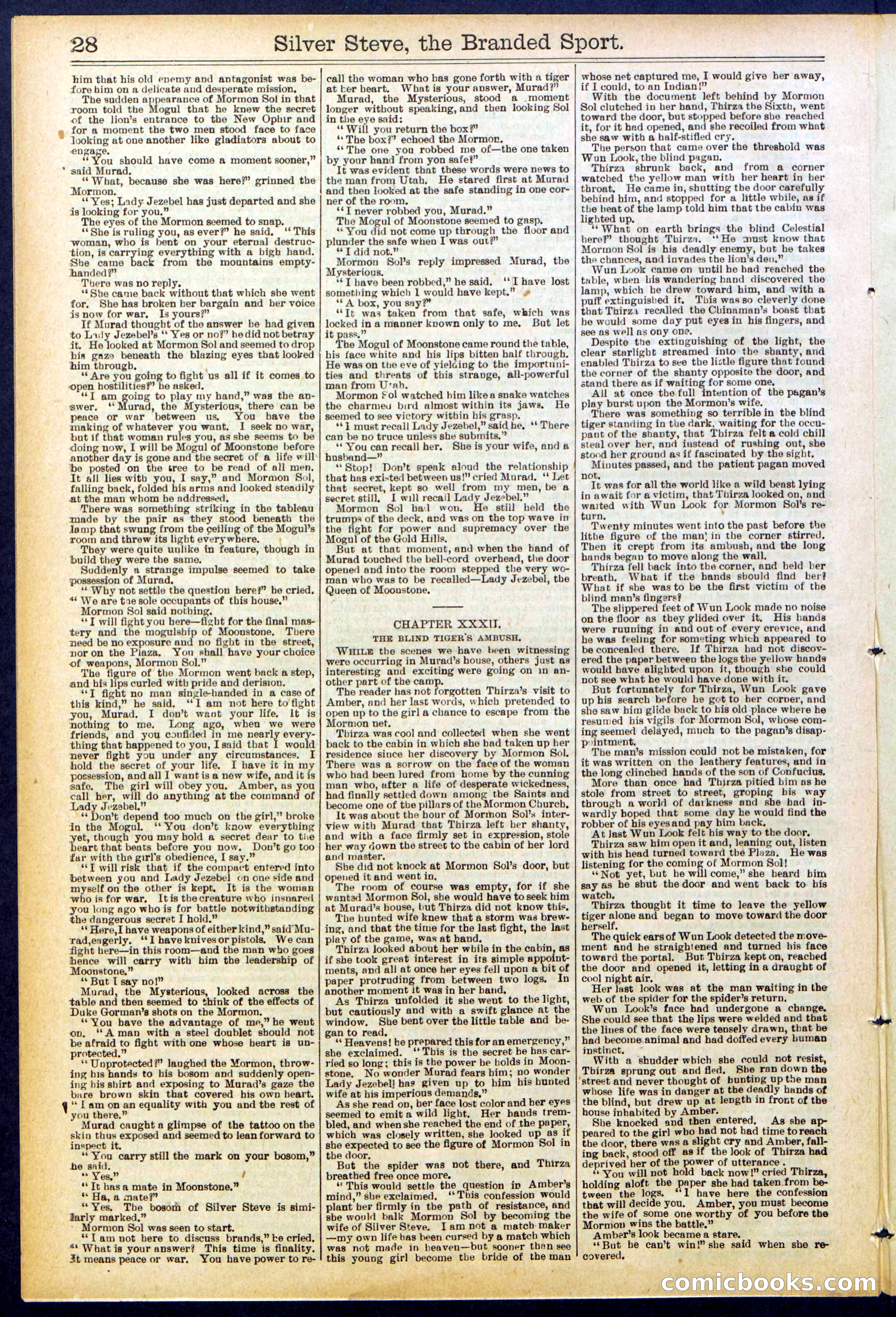 Beadle's New York Dime Library No. 701 — page 28 of 32