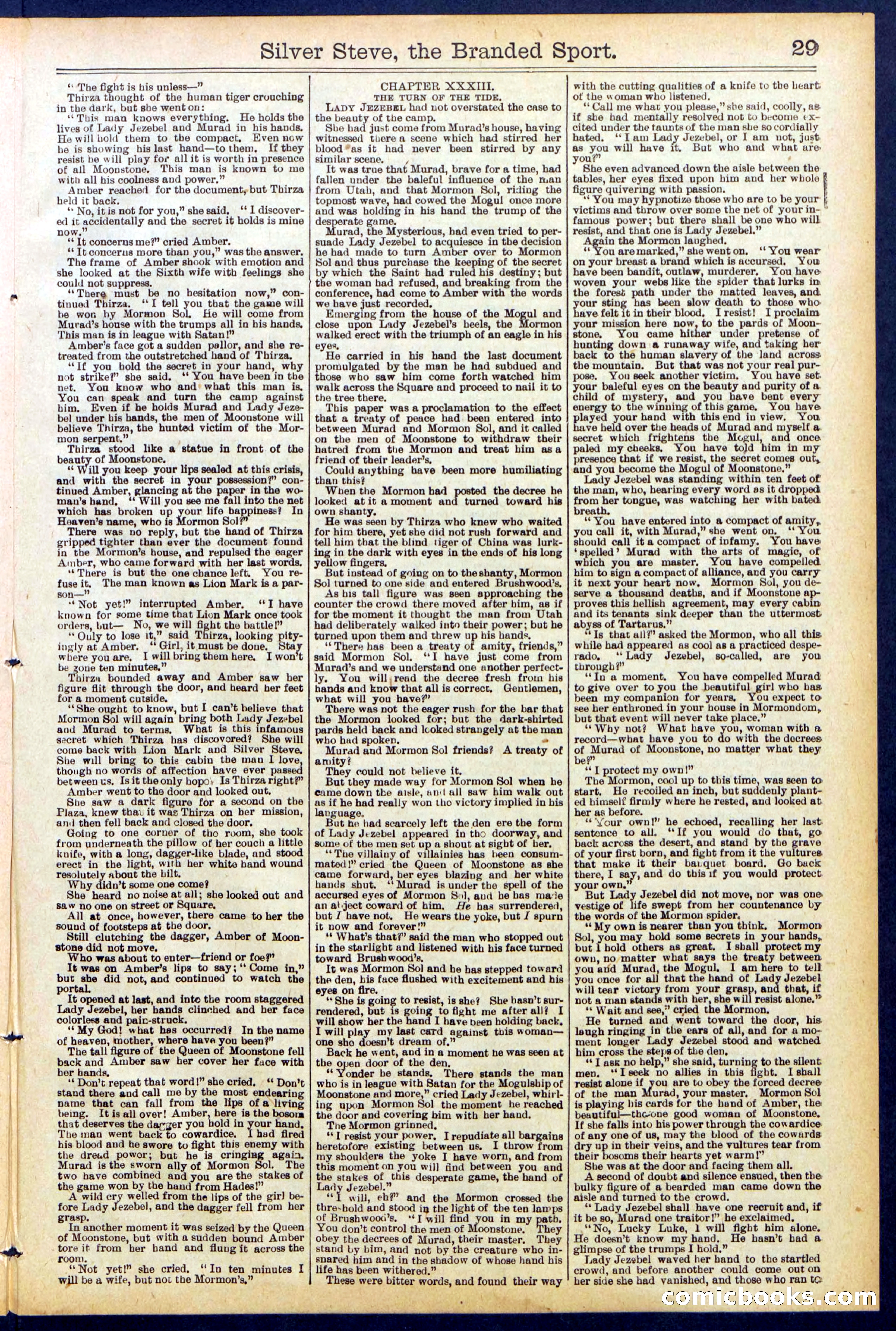 Beadle's New York Dime Library No. 701 — page 29 of 32