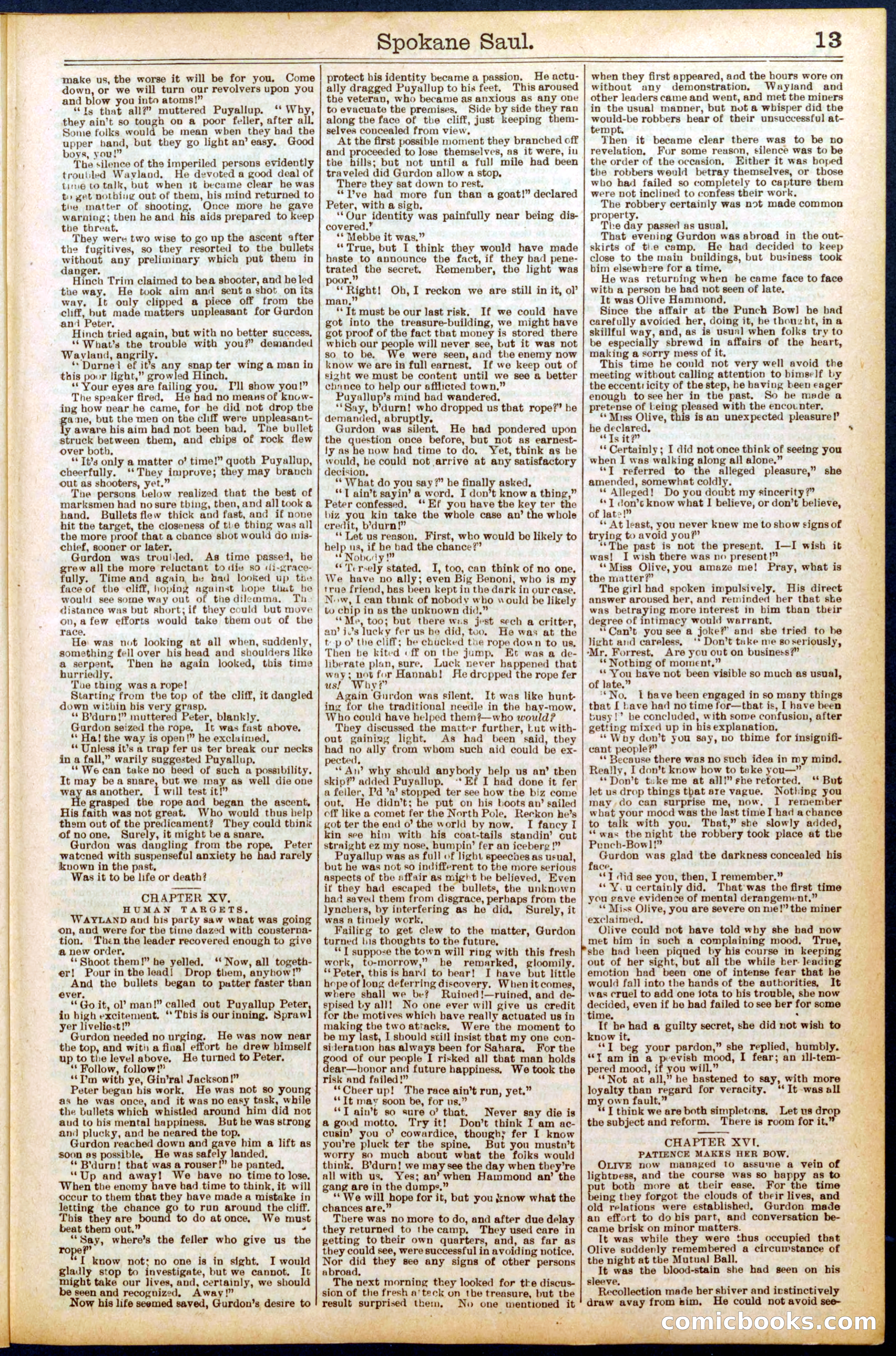 Beadle's New York Dime Library No. 703 — page 13 of 32