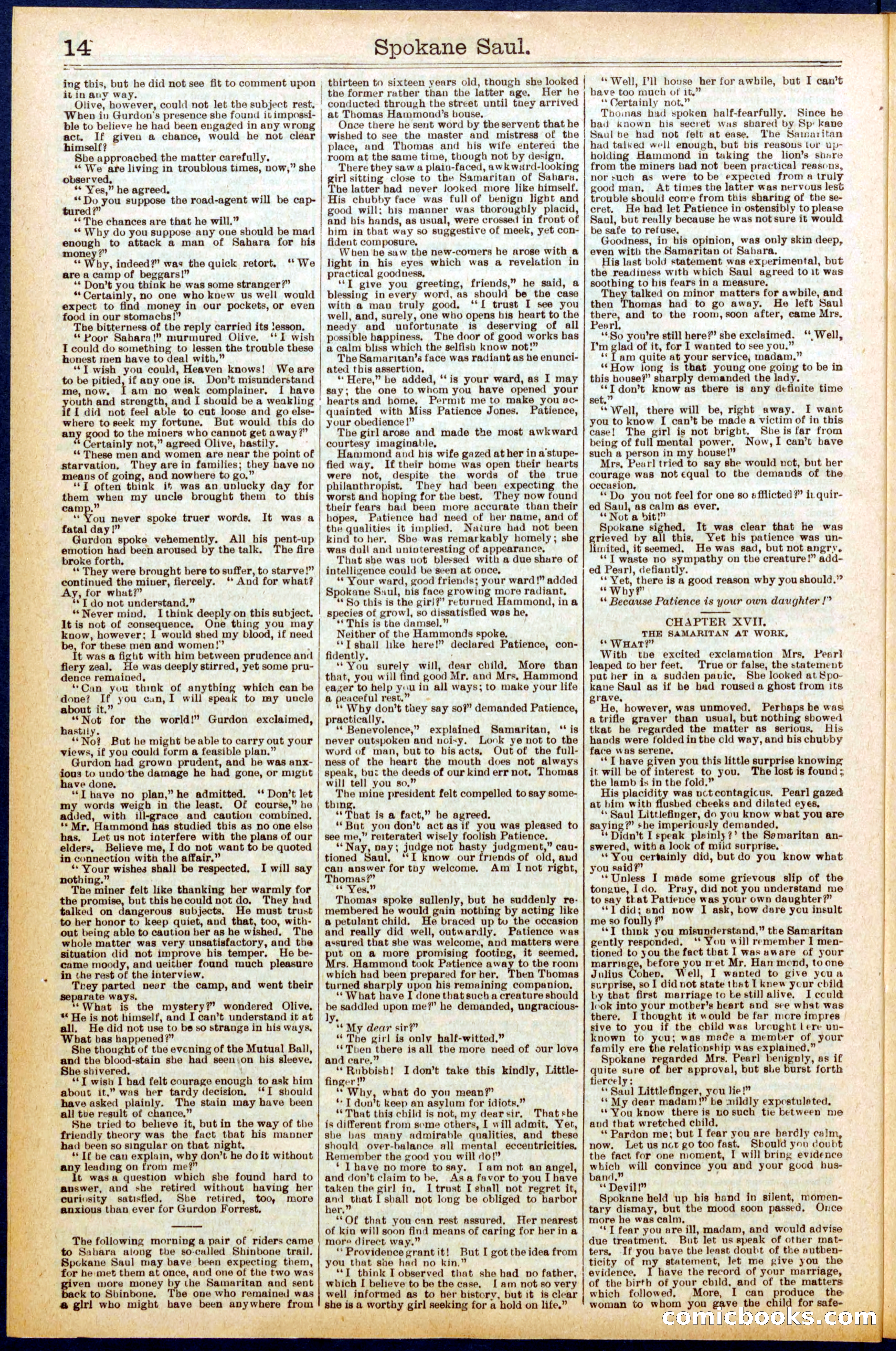 Beadle's New York Dime Library No. 703 — page 14 of 32