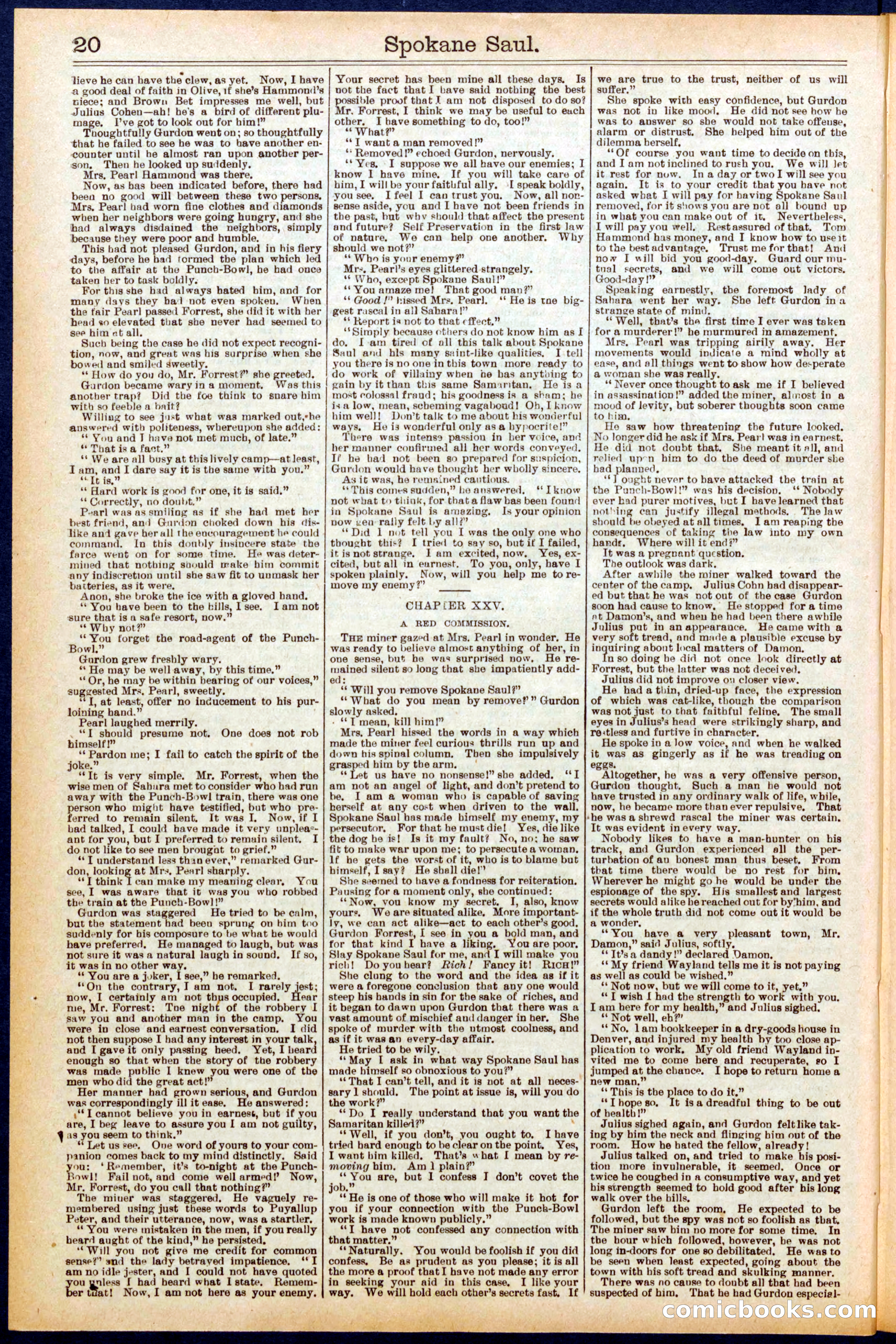 Beadle's New York Dime Library No. 703 — page 20 of 32