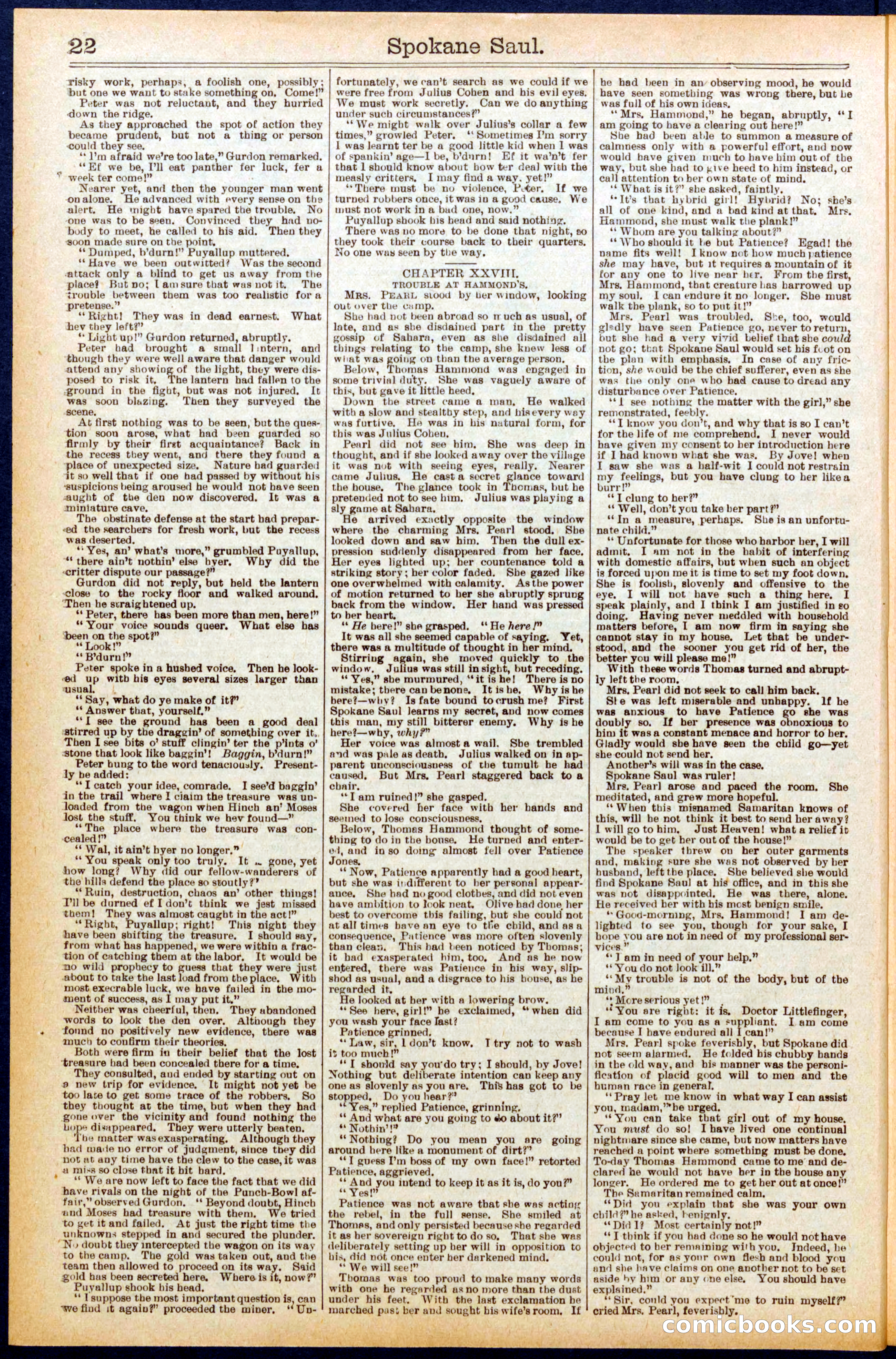 Beadle's New York Dime Library No. 703 — page 22 of 32
