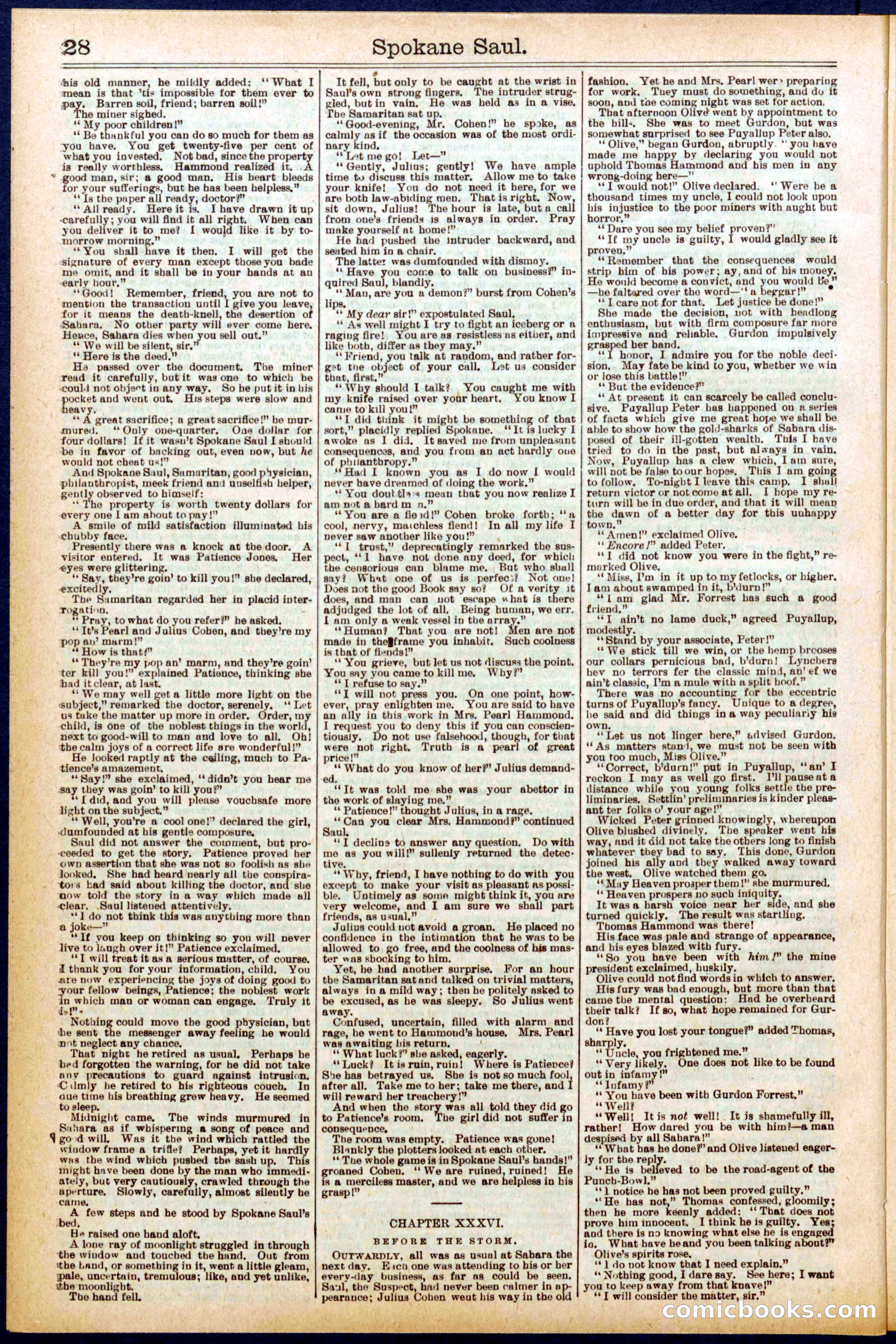 Beadle's New York Dime Library No. 703 — page 28 of 32