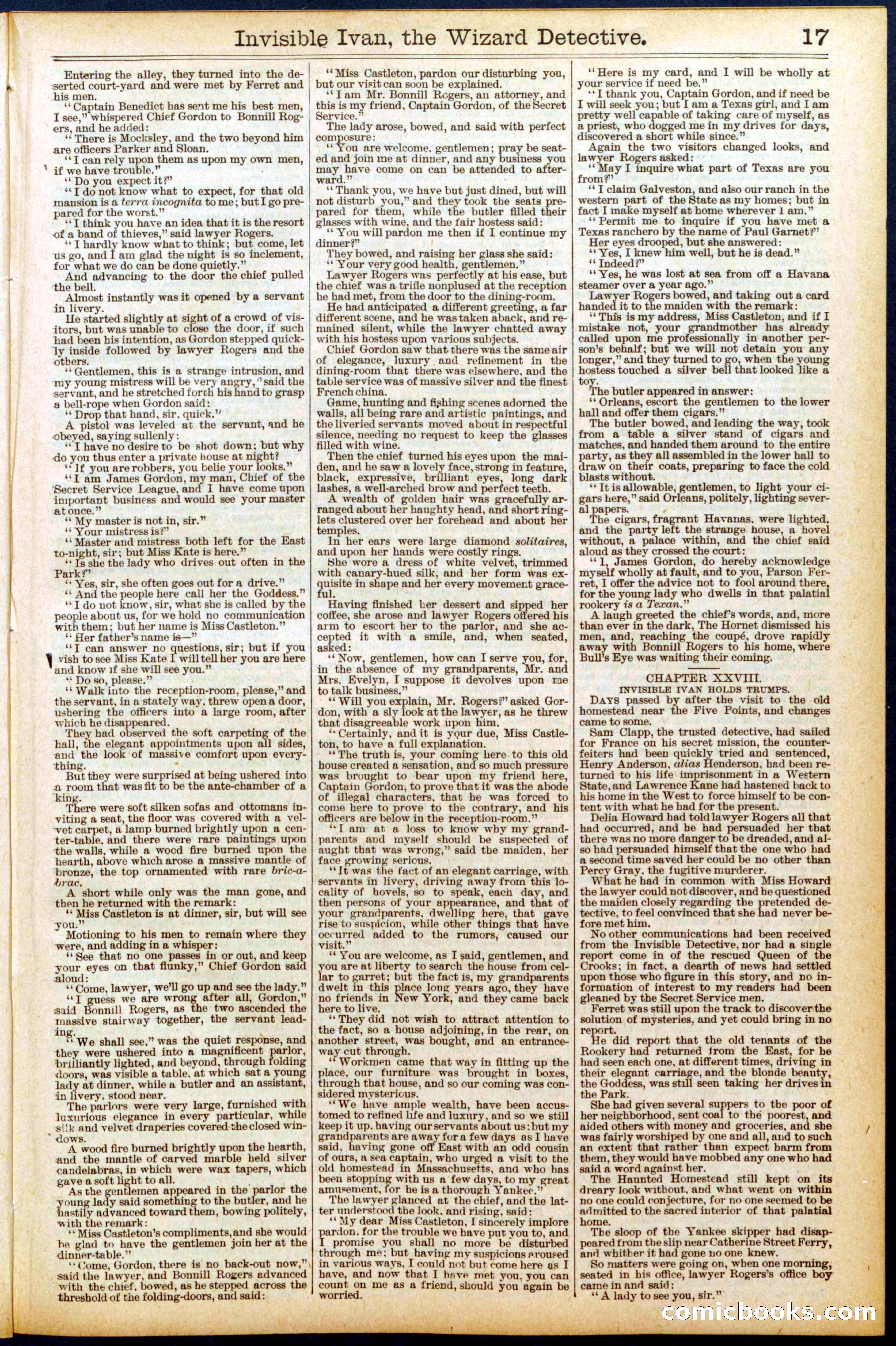 Beadle's New York Dime Library No. 704 — page 17 of 32