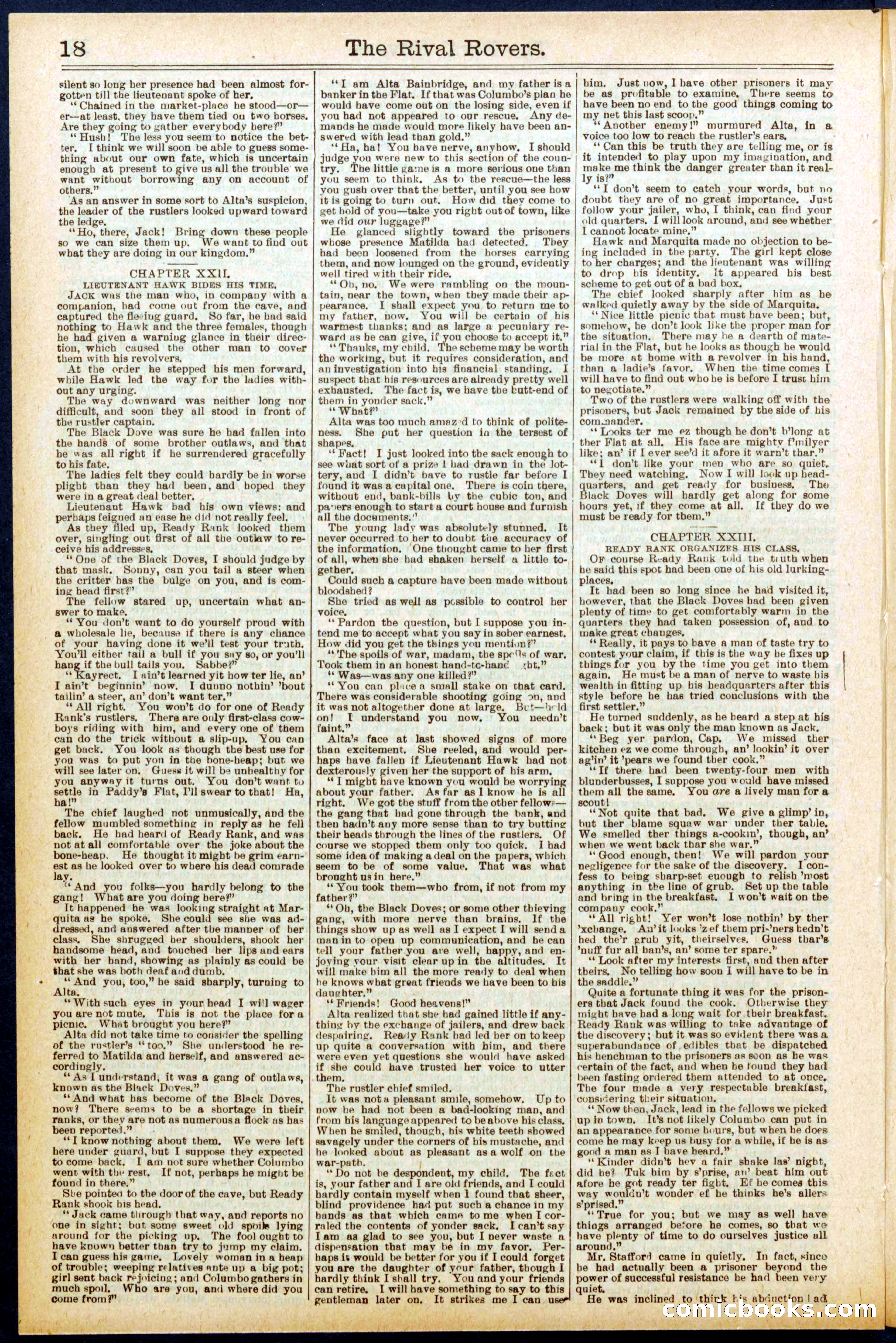 Beadle's New York Dime Library No. 707 — page 18 of 32