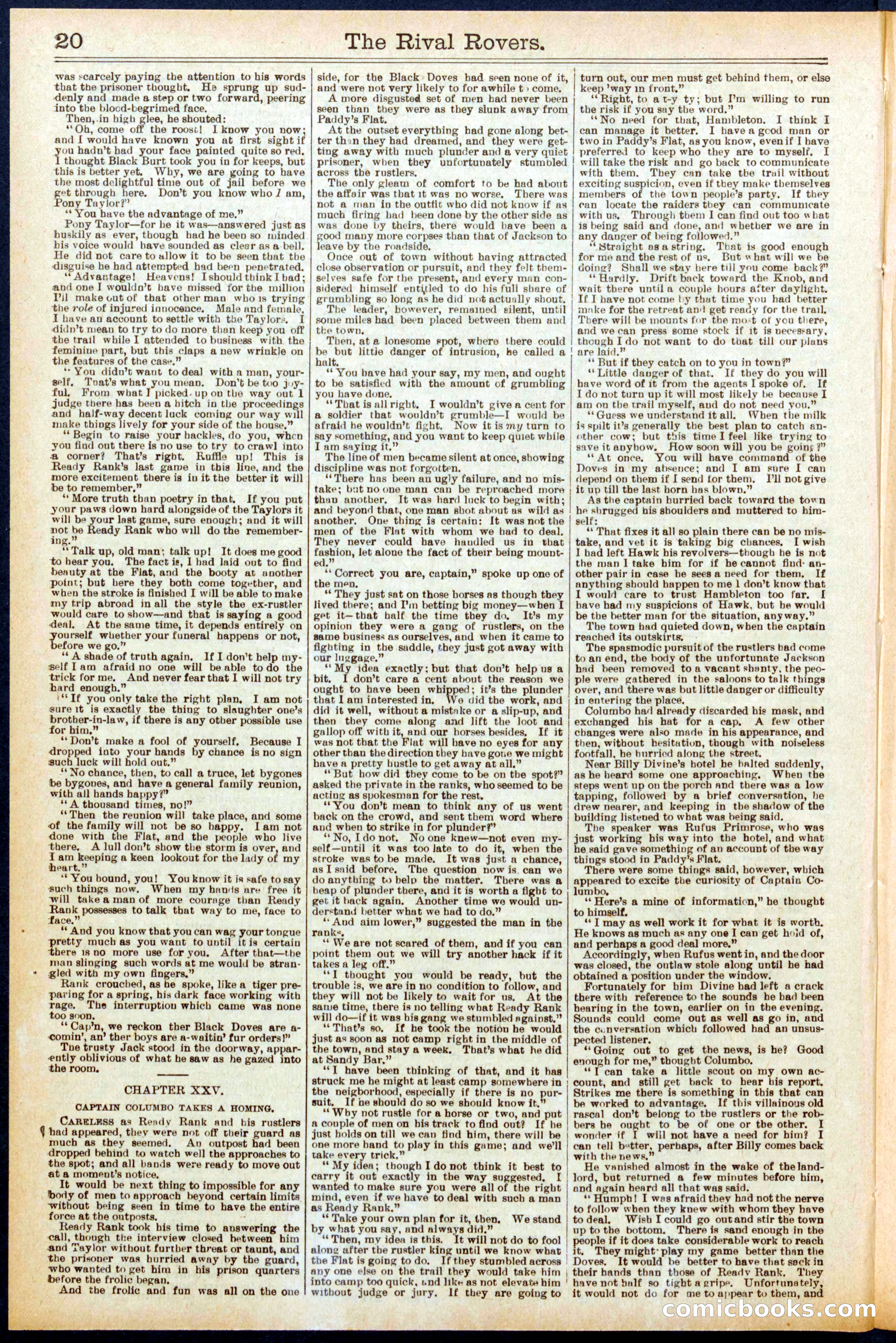 Beadle's New York Dime Library No. 707 — page 20 of 32