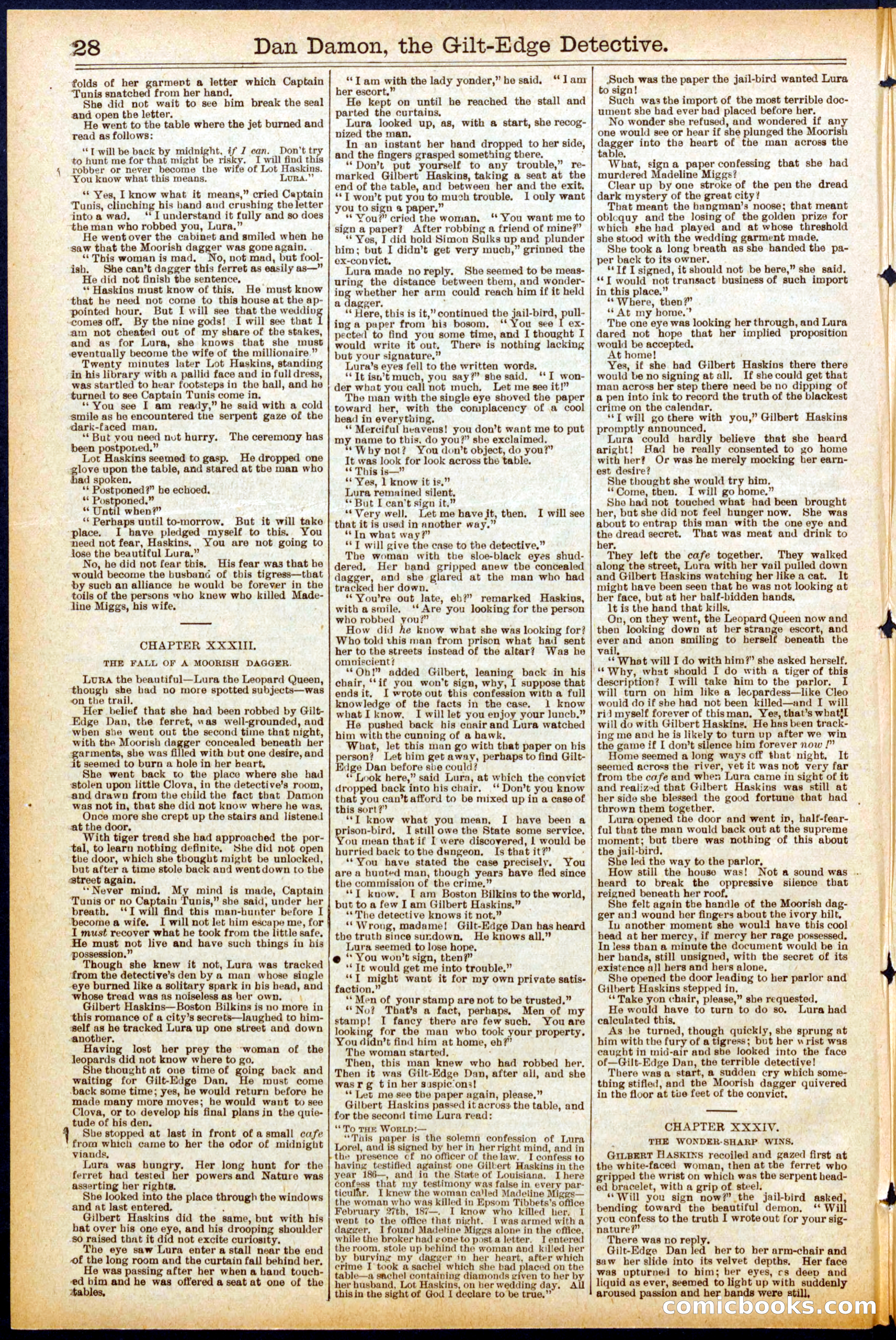 Beadle's Dime Library No. 711 — page 28 of 32