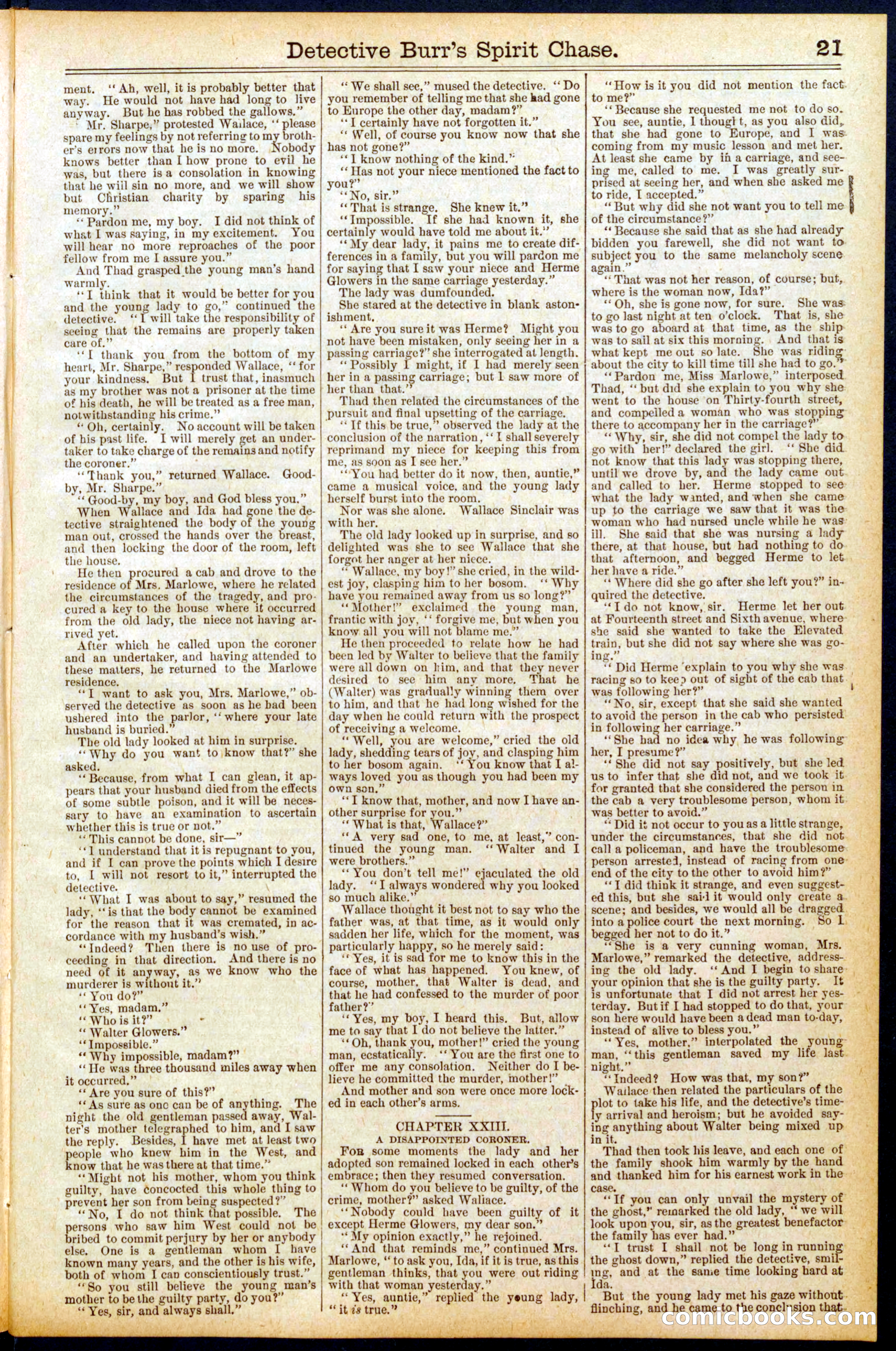 Beadle's Dime Library No. 713 — page 21 of 32