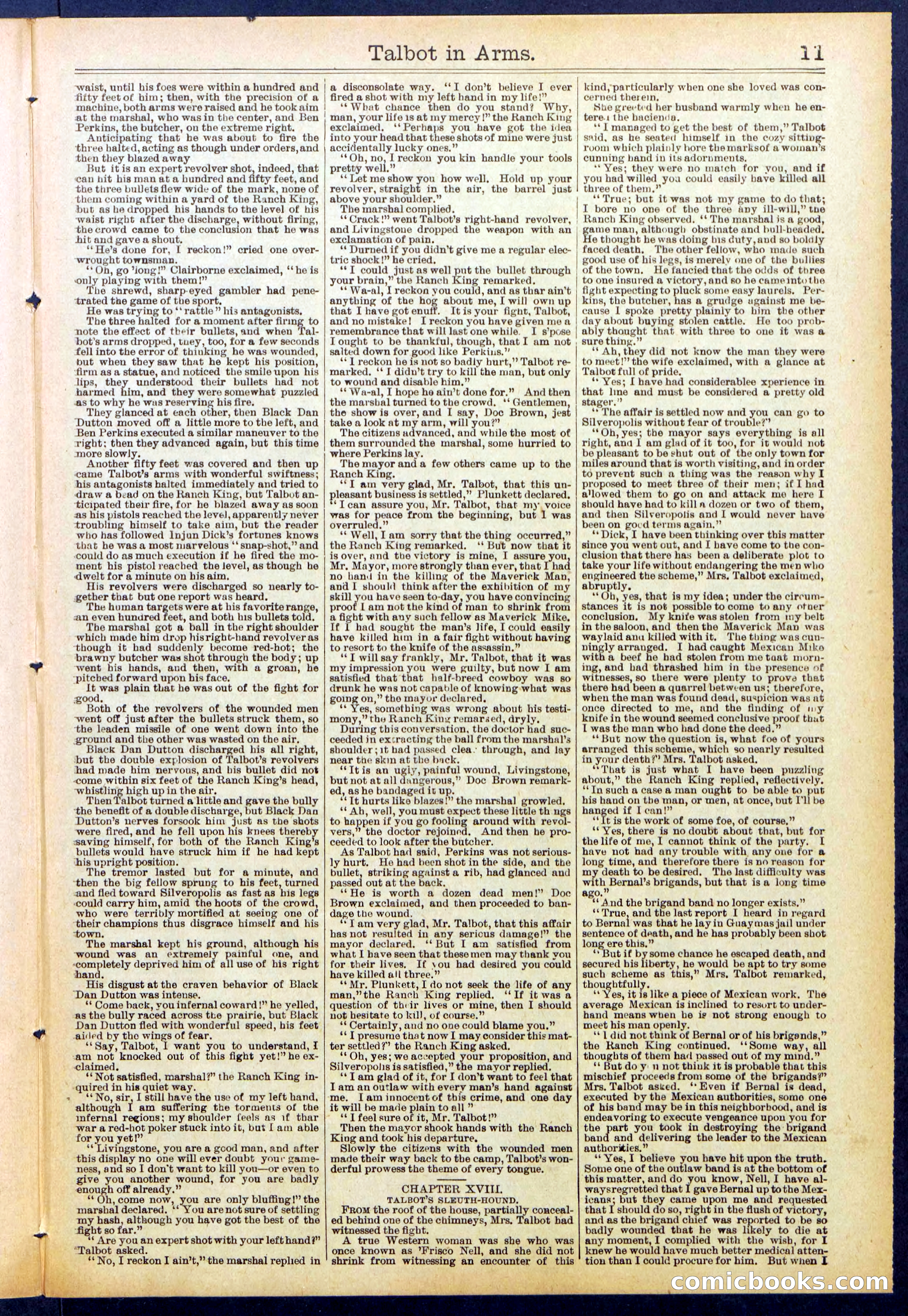 Beadle's New York Dime Library No. 741 — page 11 of 32