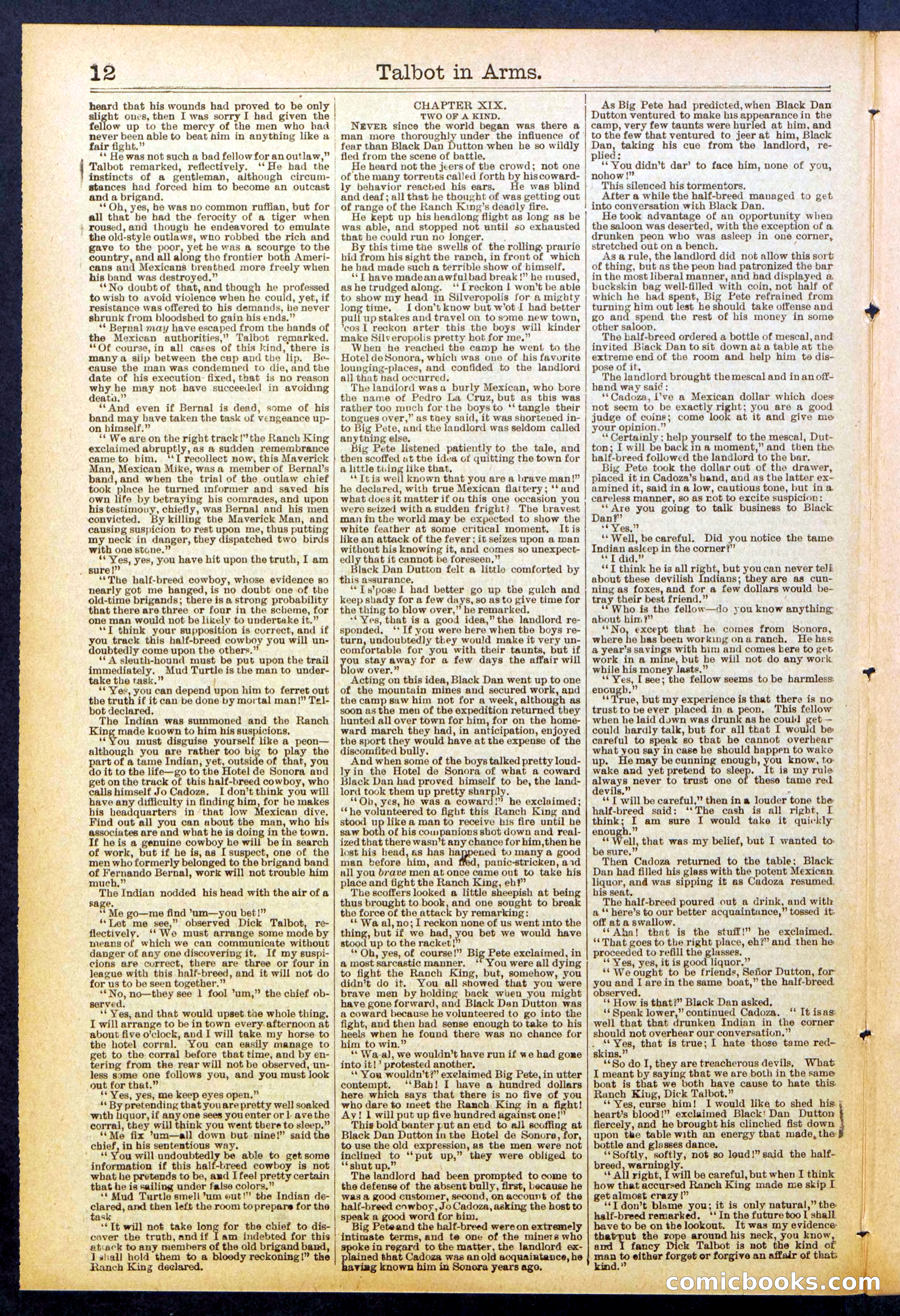 Beadle's New York Dime Library No. 741 — page 12 of 32