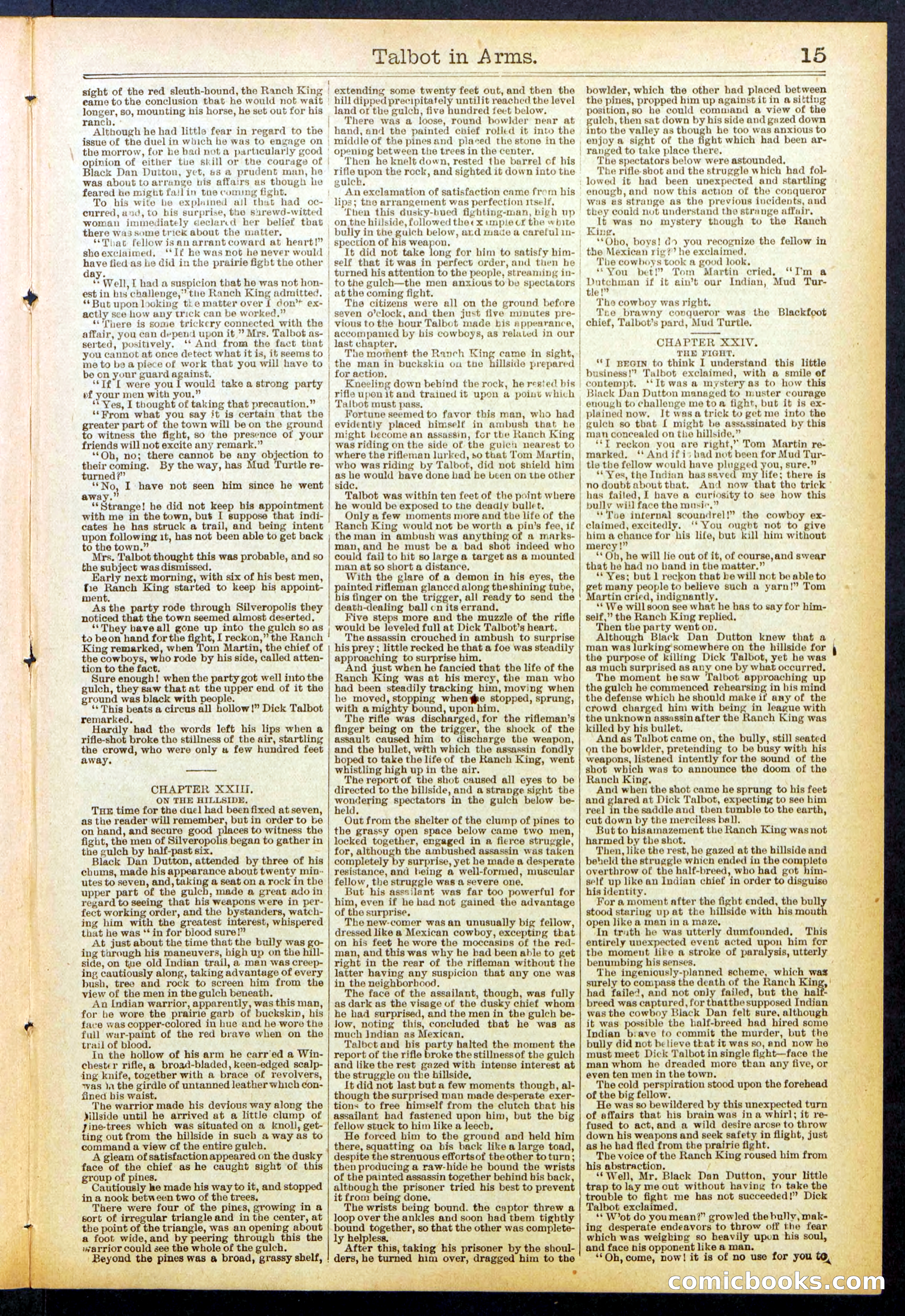 Beadle's New York Dime Library No. 741 — page 15 of 32
