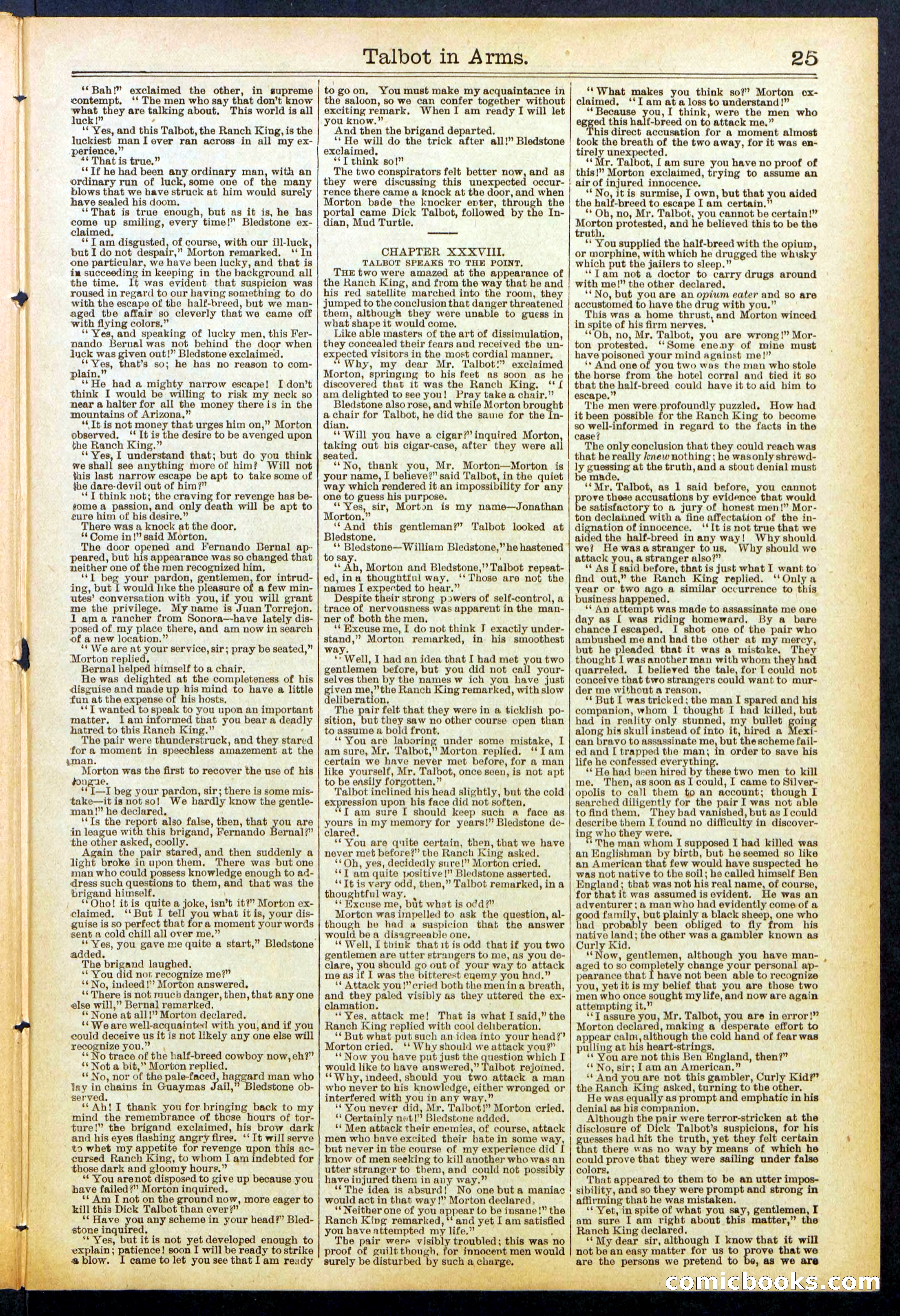 Beadle's New York Dime Library No. 741 — page 25 of 32