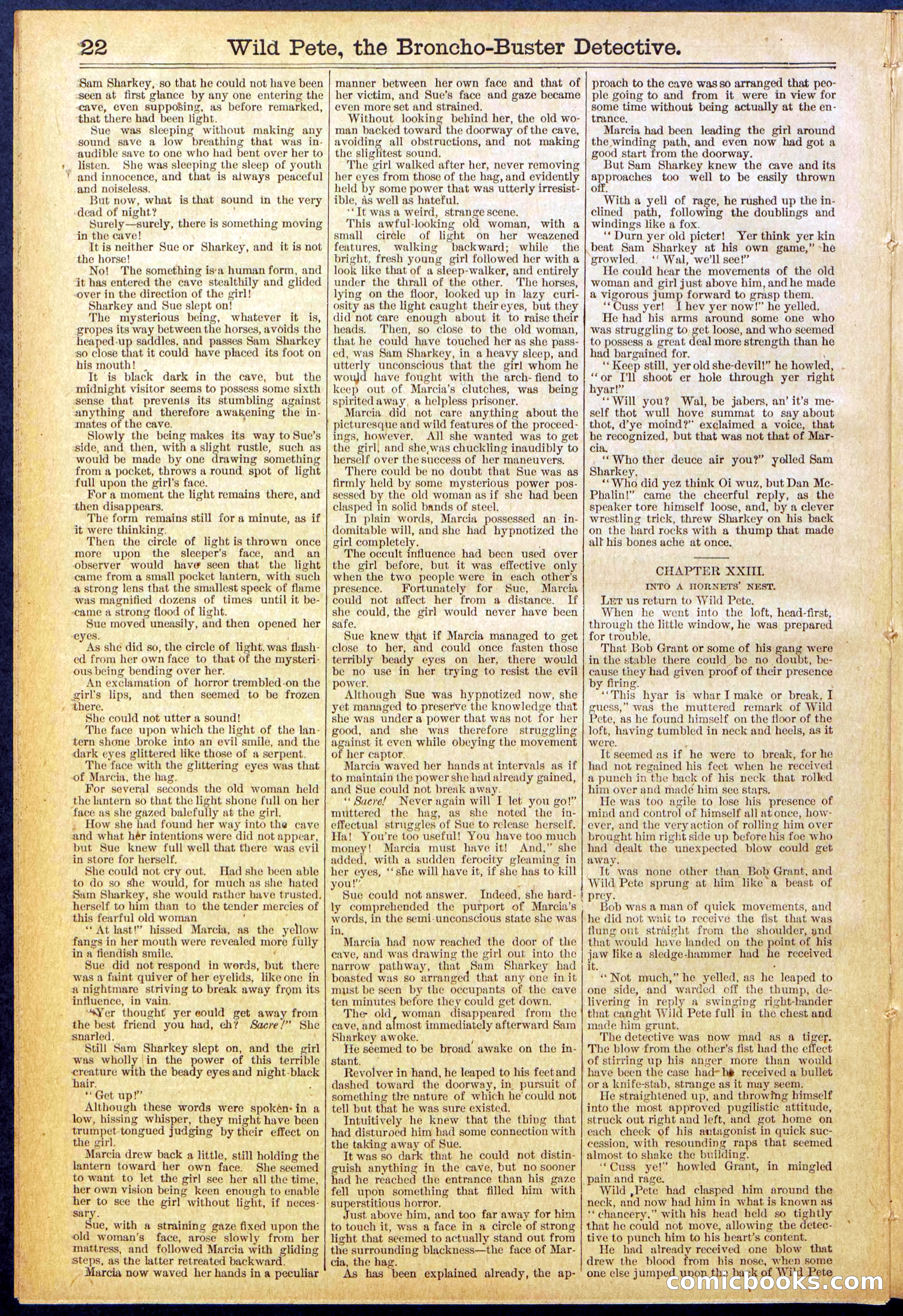 Beadle's Dime Library No. 755 — page 22 of 32