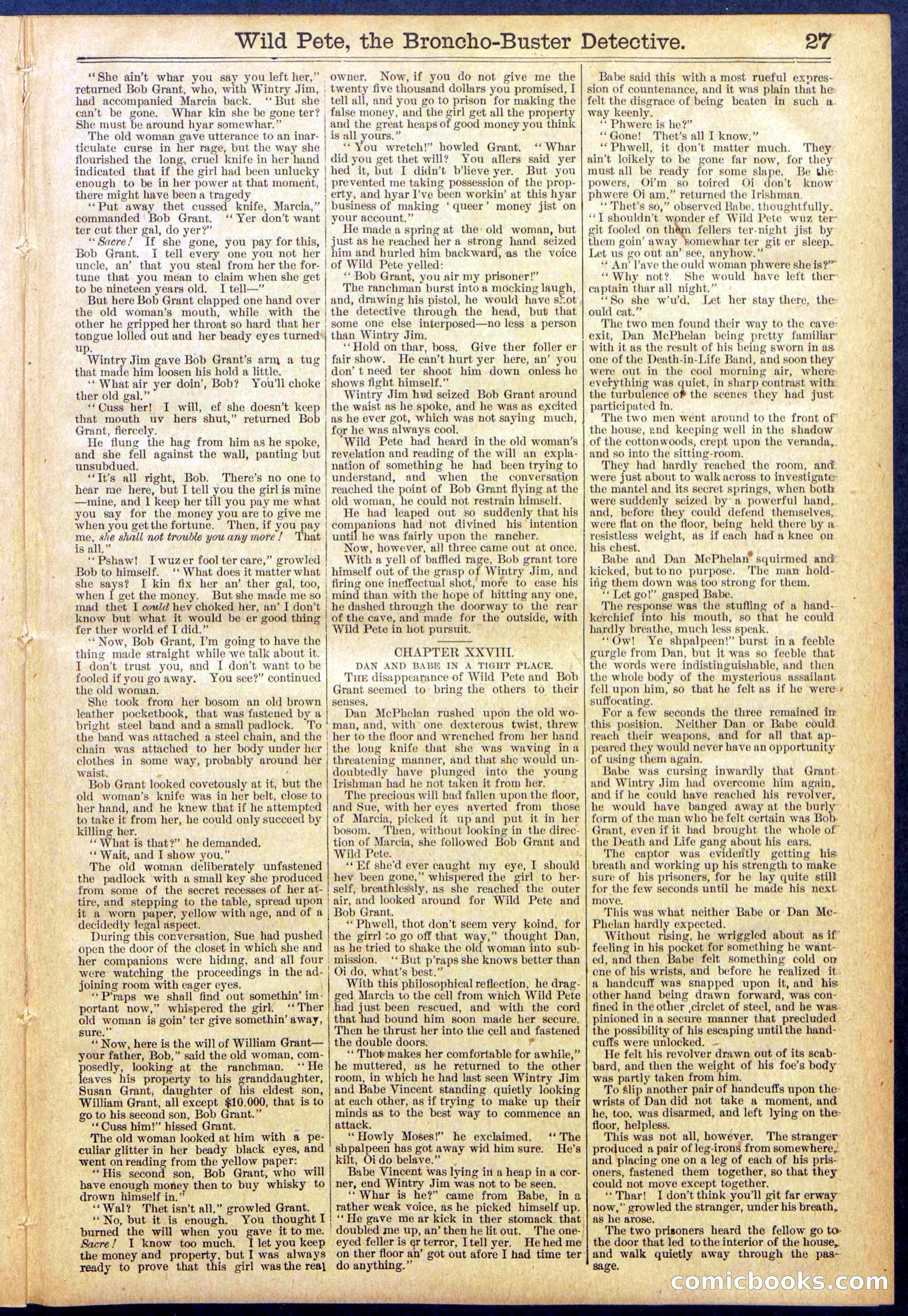 Beadle's Dime Library No. 755 — page 27 of 32