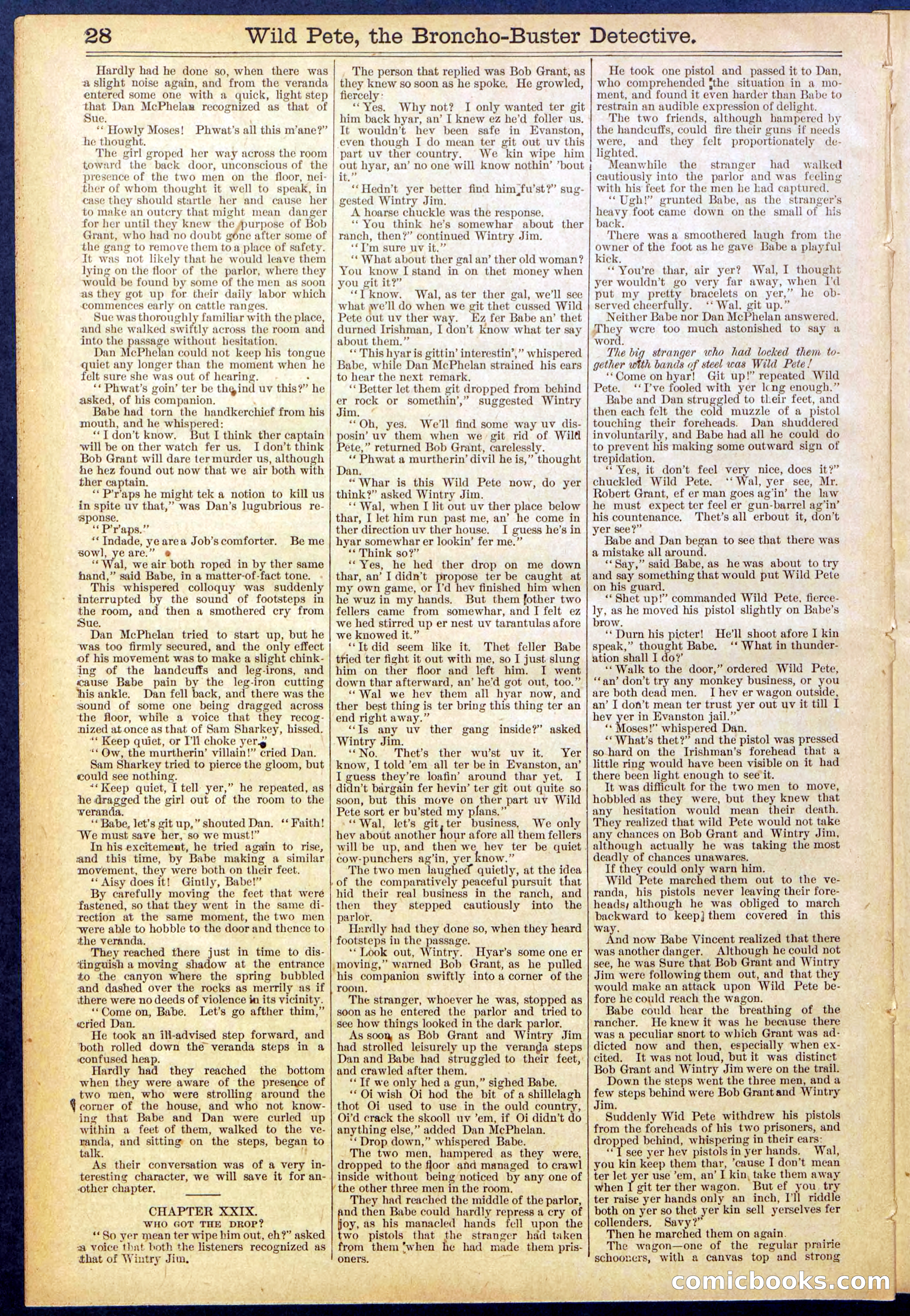 Beadle's Dime Library No. 755 — page 28 of 32