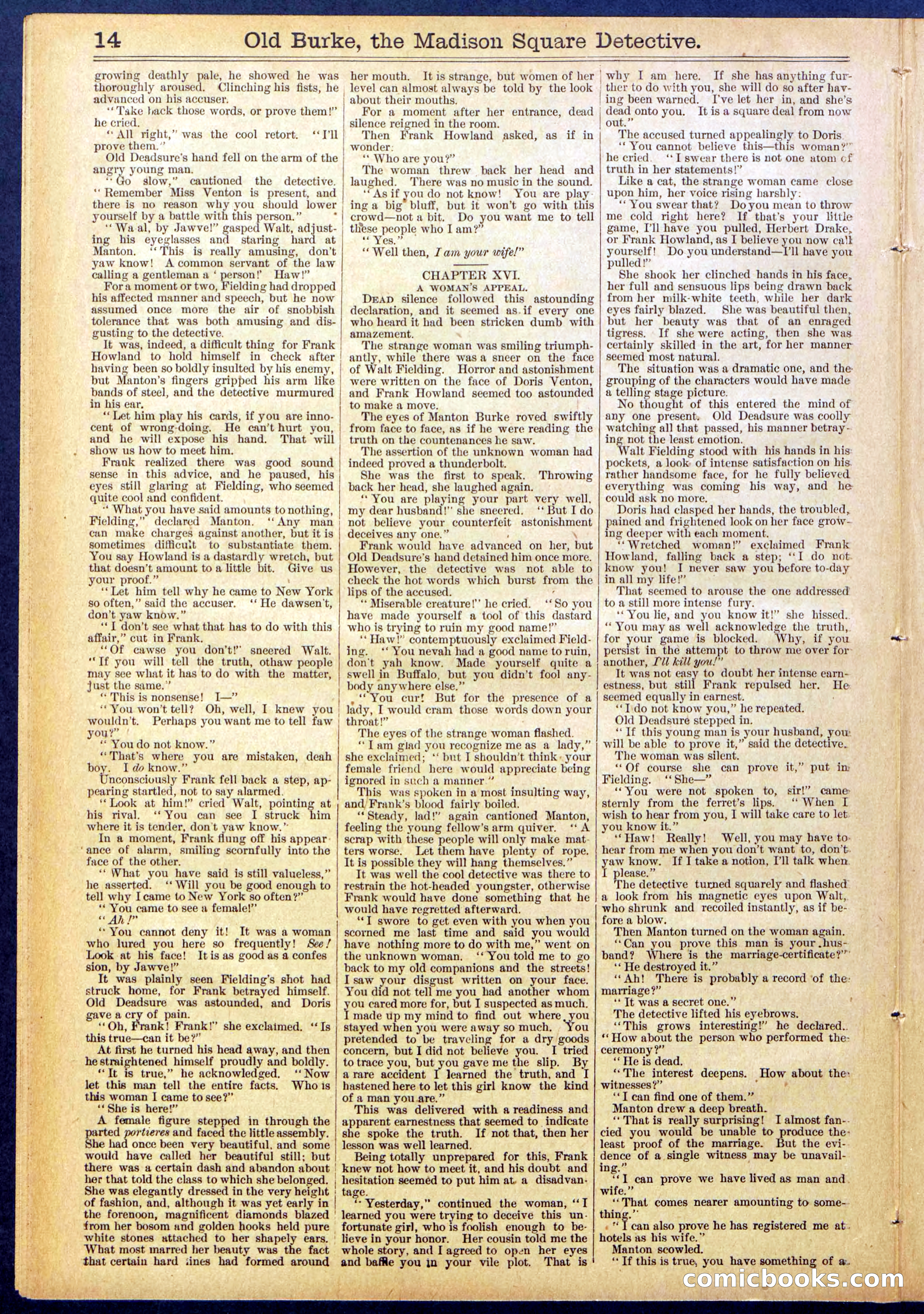 Beadle's New York Dime Library No. 756 — page 14 of 32