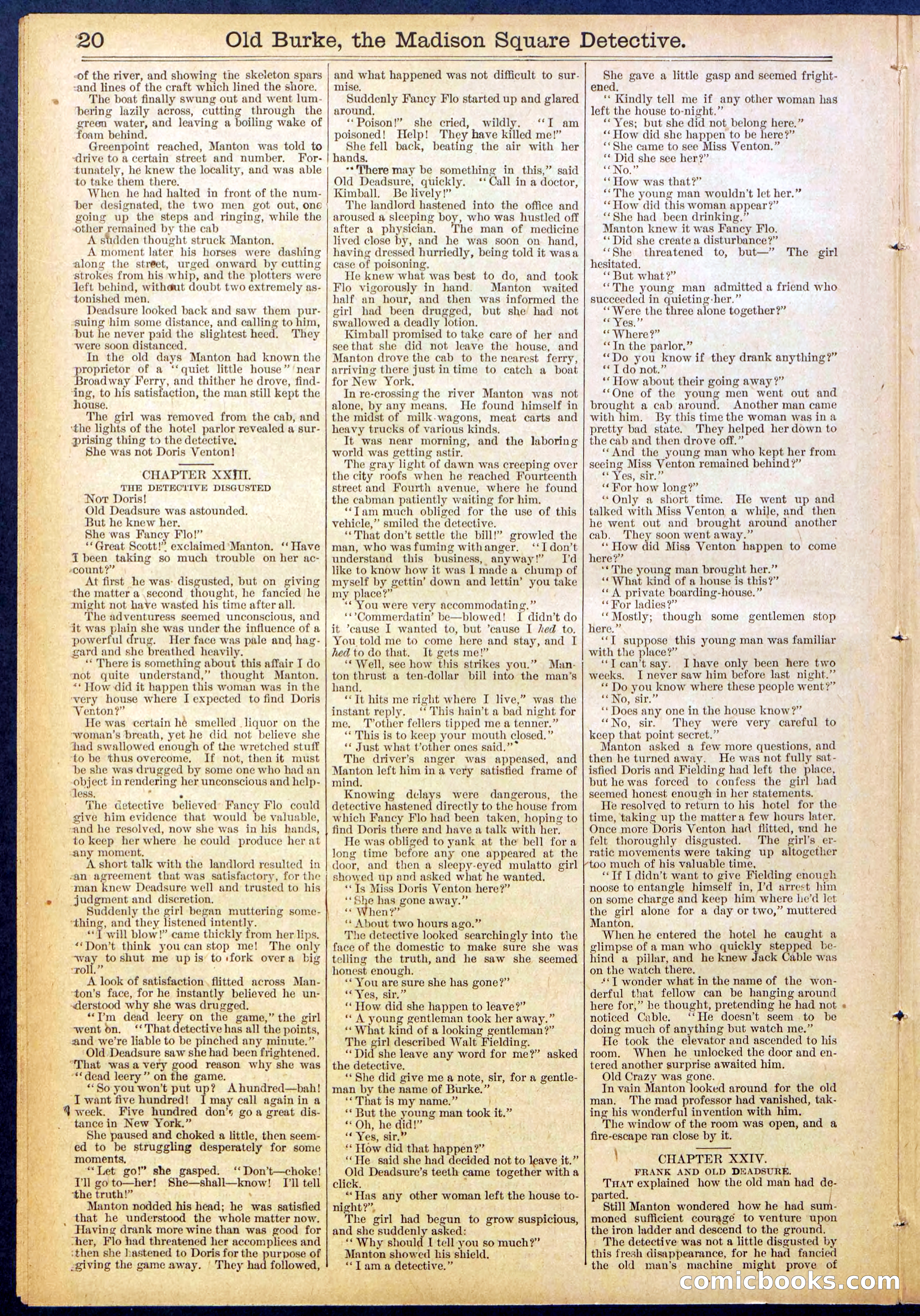 Beadle's New York Dime Library No. 756 — page 20 of 32