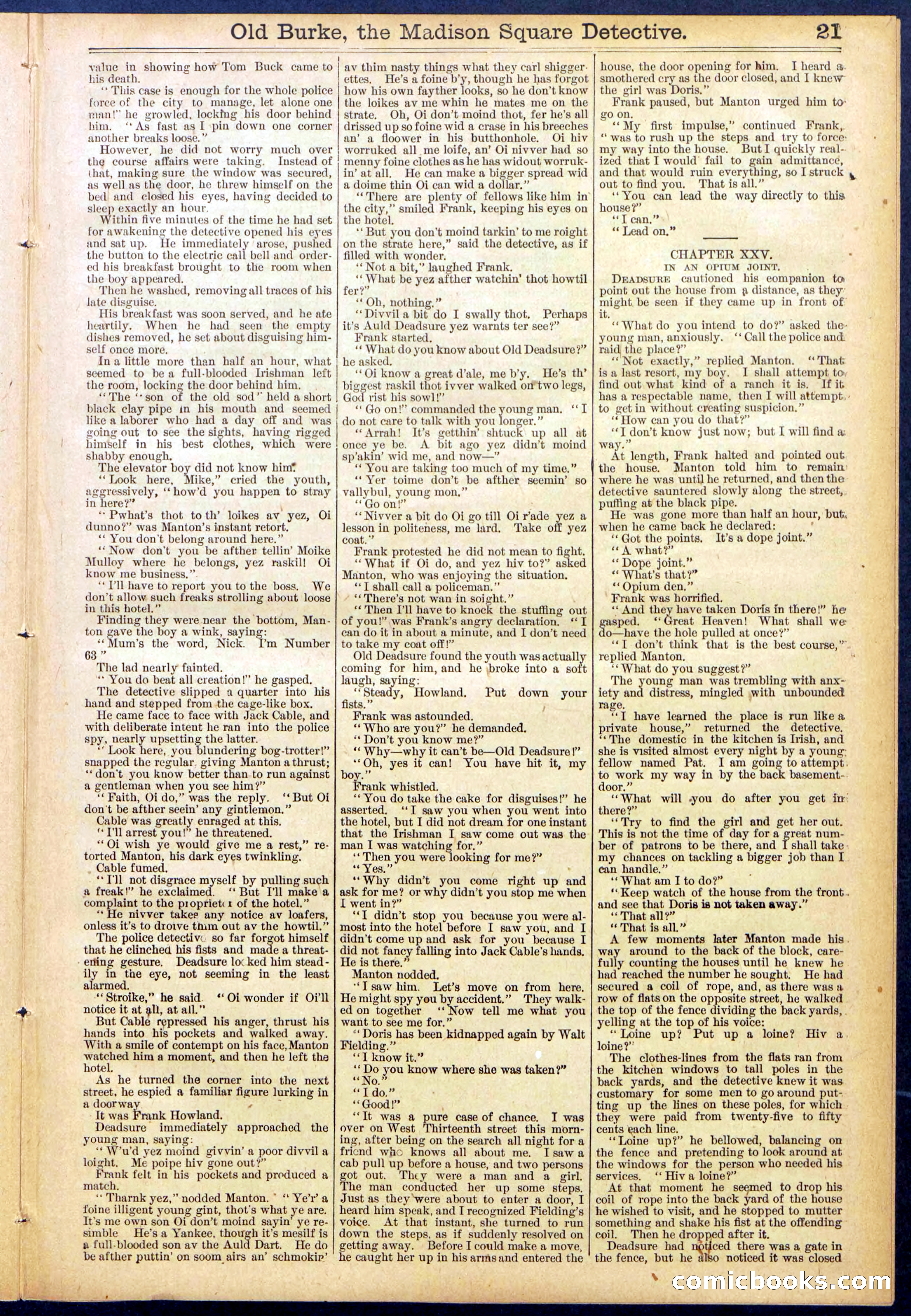 Beadle's New York Dime Library No. 756 — page 21 of 32