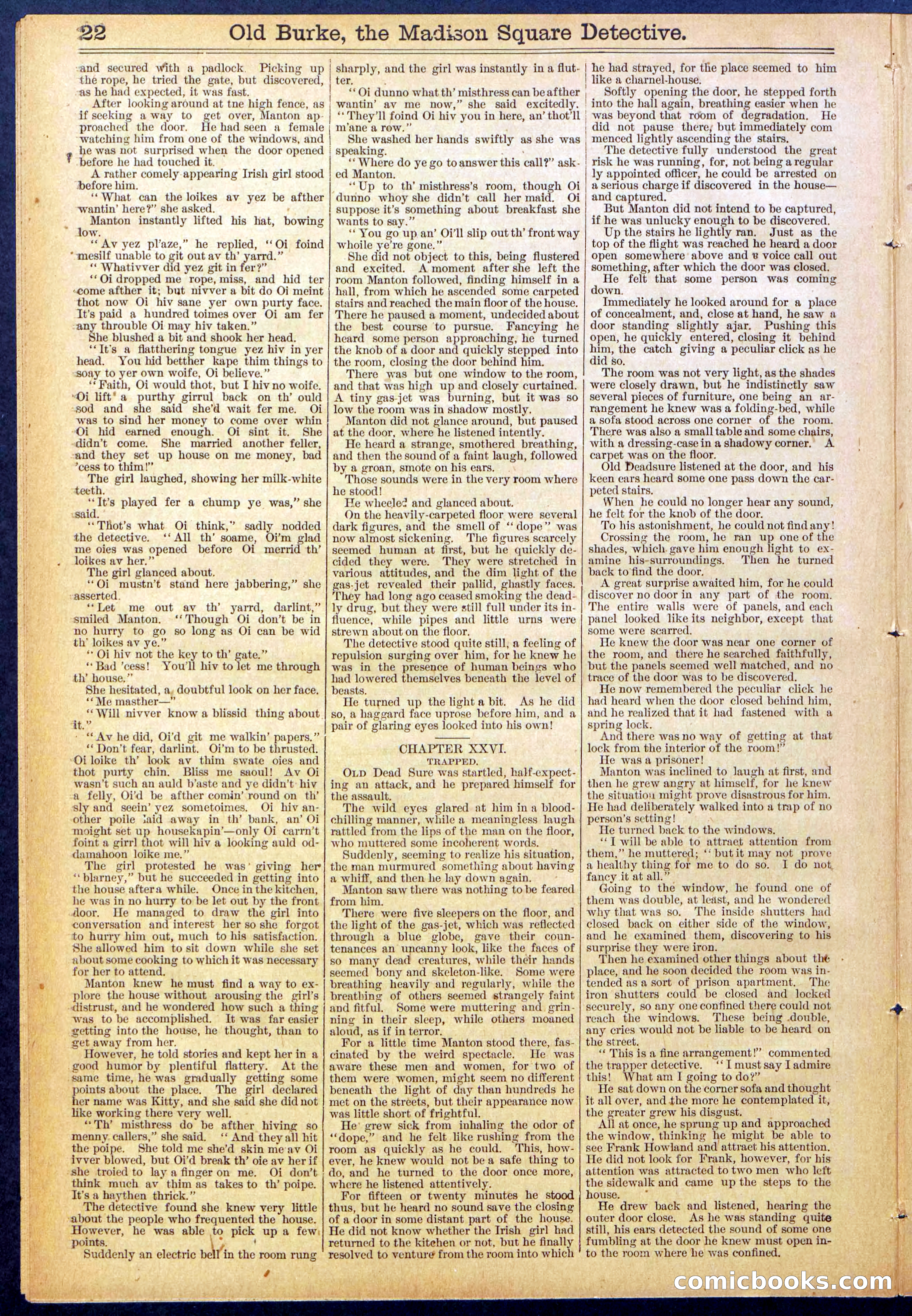 Beadle's New York Dime Library No. 756 — page 22 of 32
