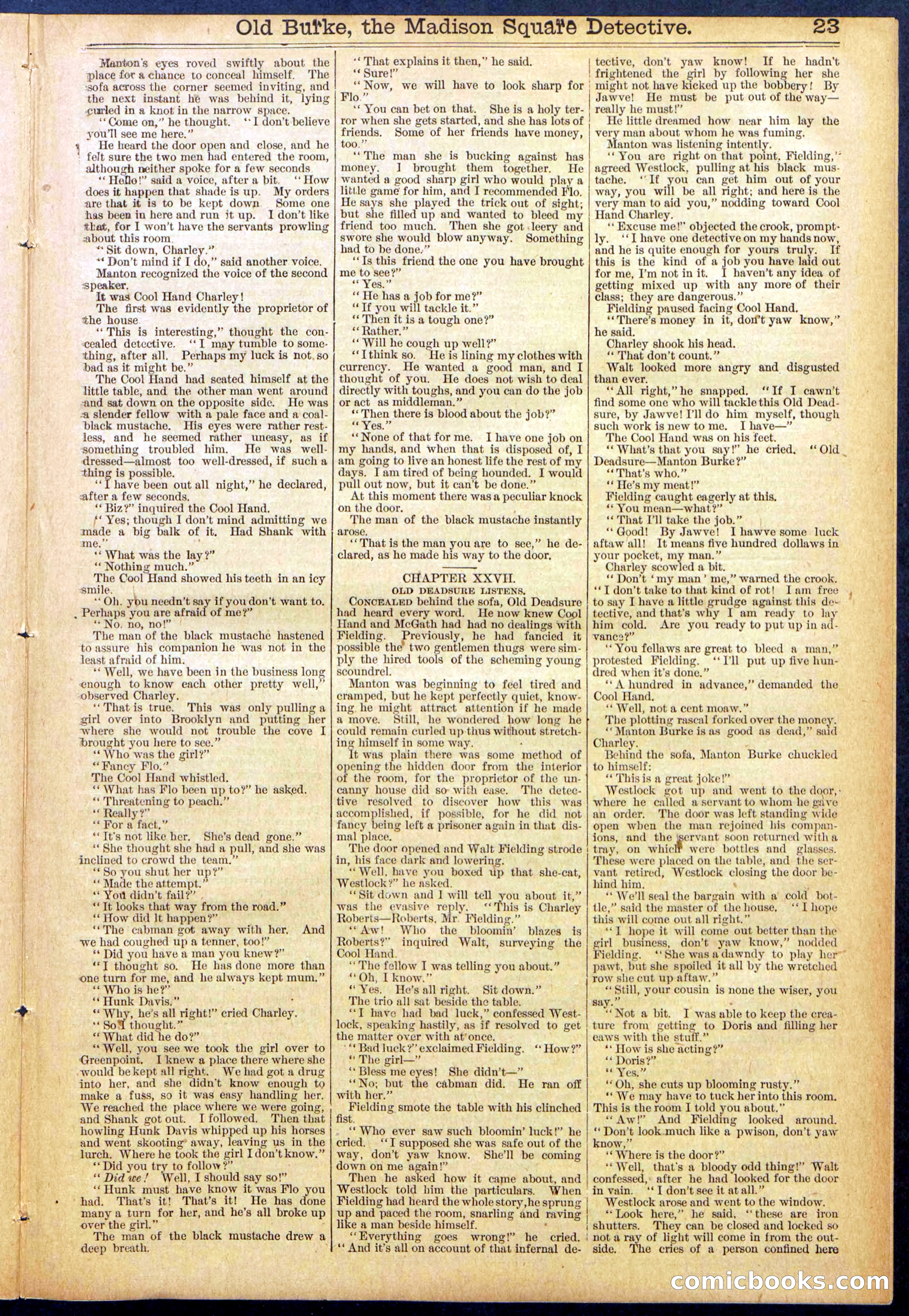 Beadle's New York Dime Library No. 756 — page 23 of 32