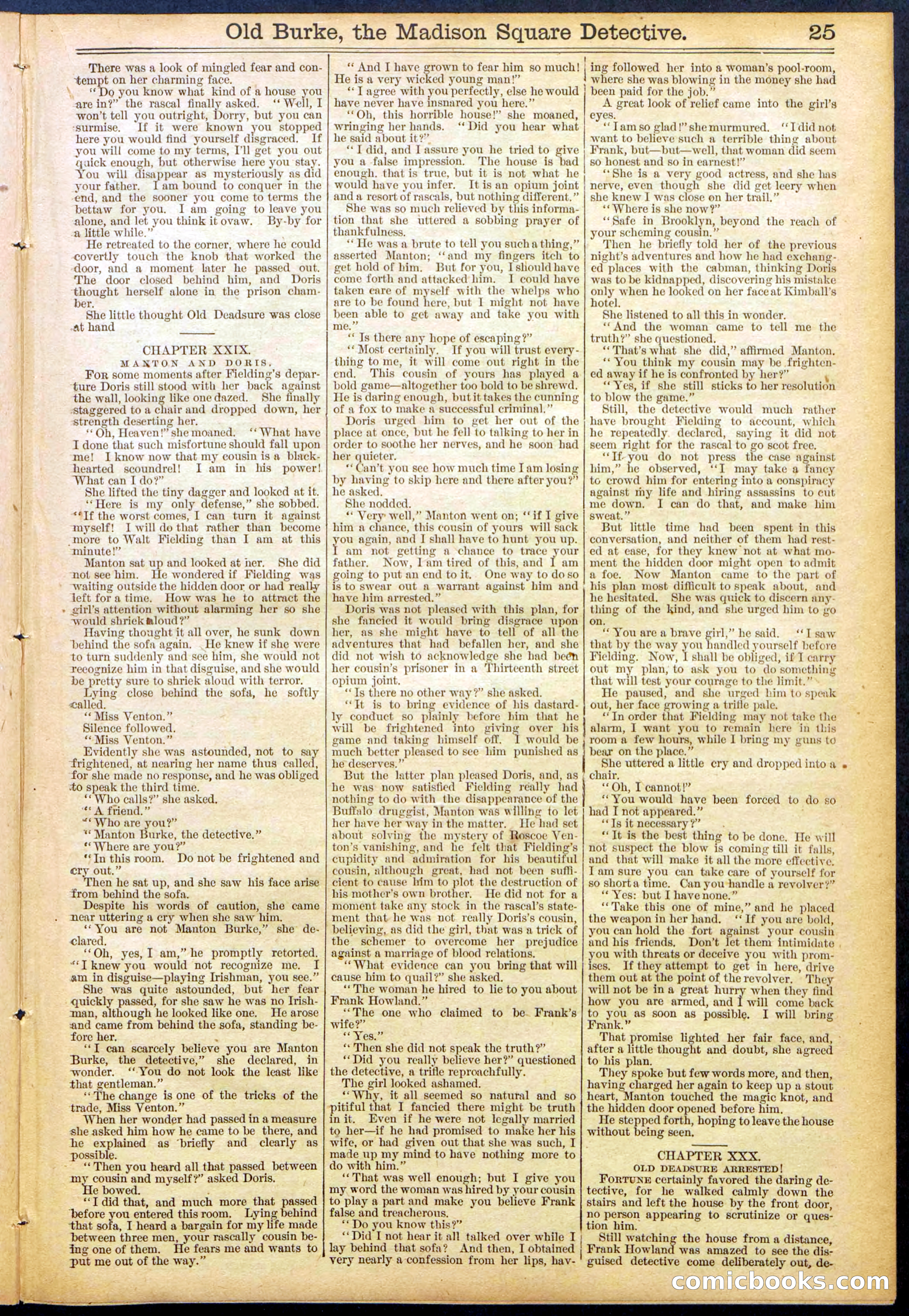 Beadle's New York Dime Library No. 756 — page 25 of 32