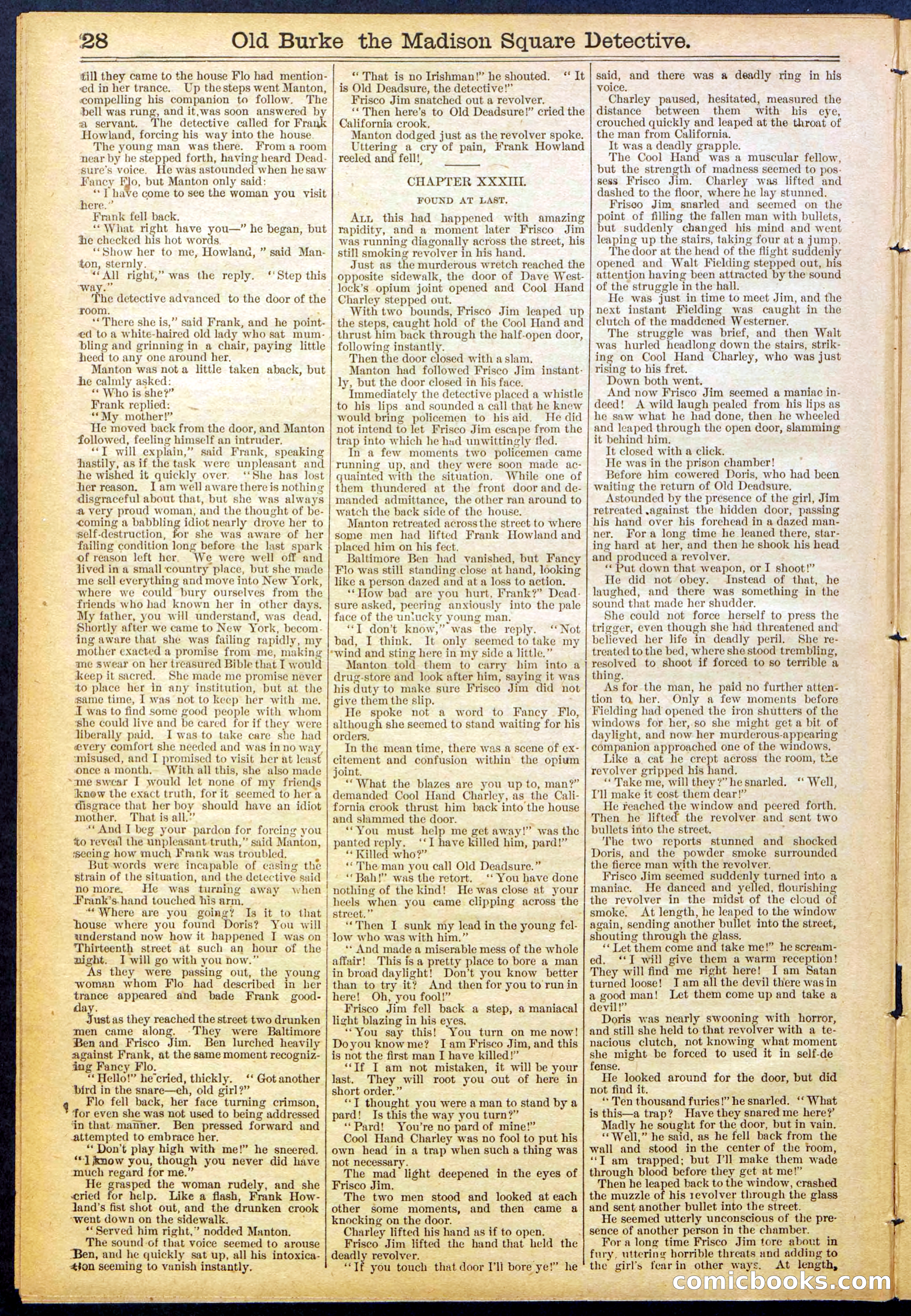 Beadle's New York Dime Library No. 756 — page 28 of 32