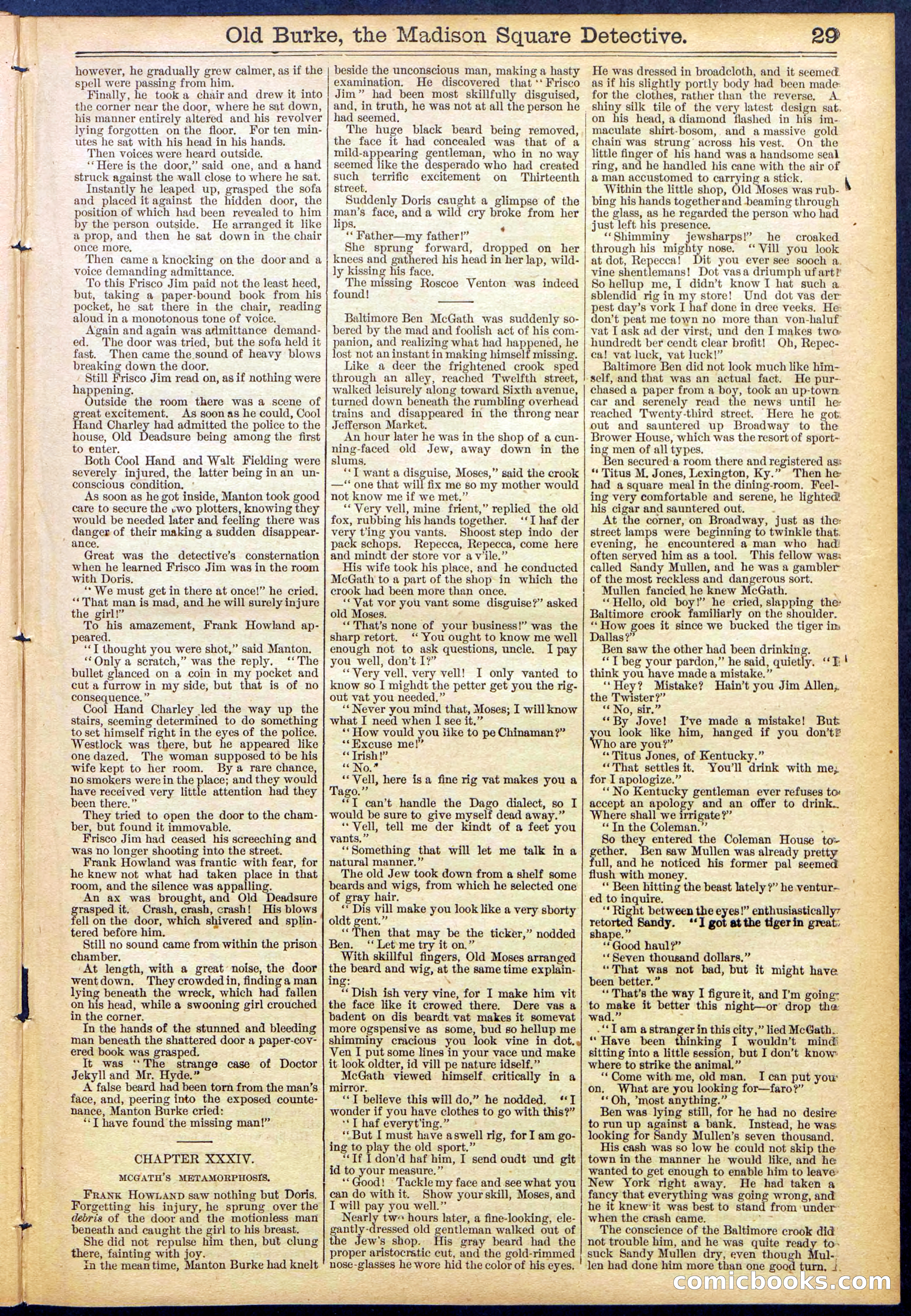 Beadle's New York Dime Library No. 756 — page 29 of 32