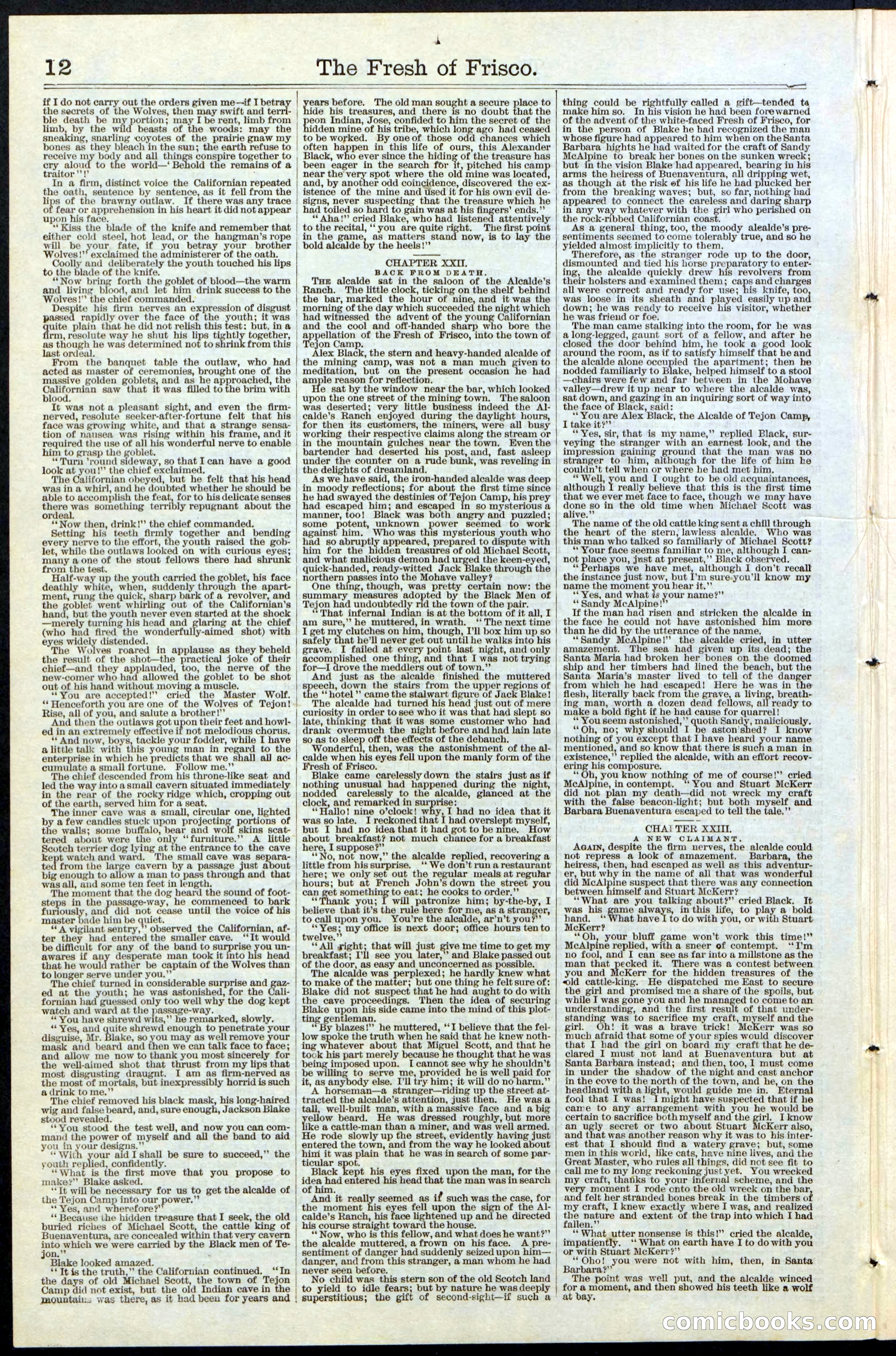 Beadle's New York Dime Library, No. 77 — page 12 of 24
