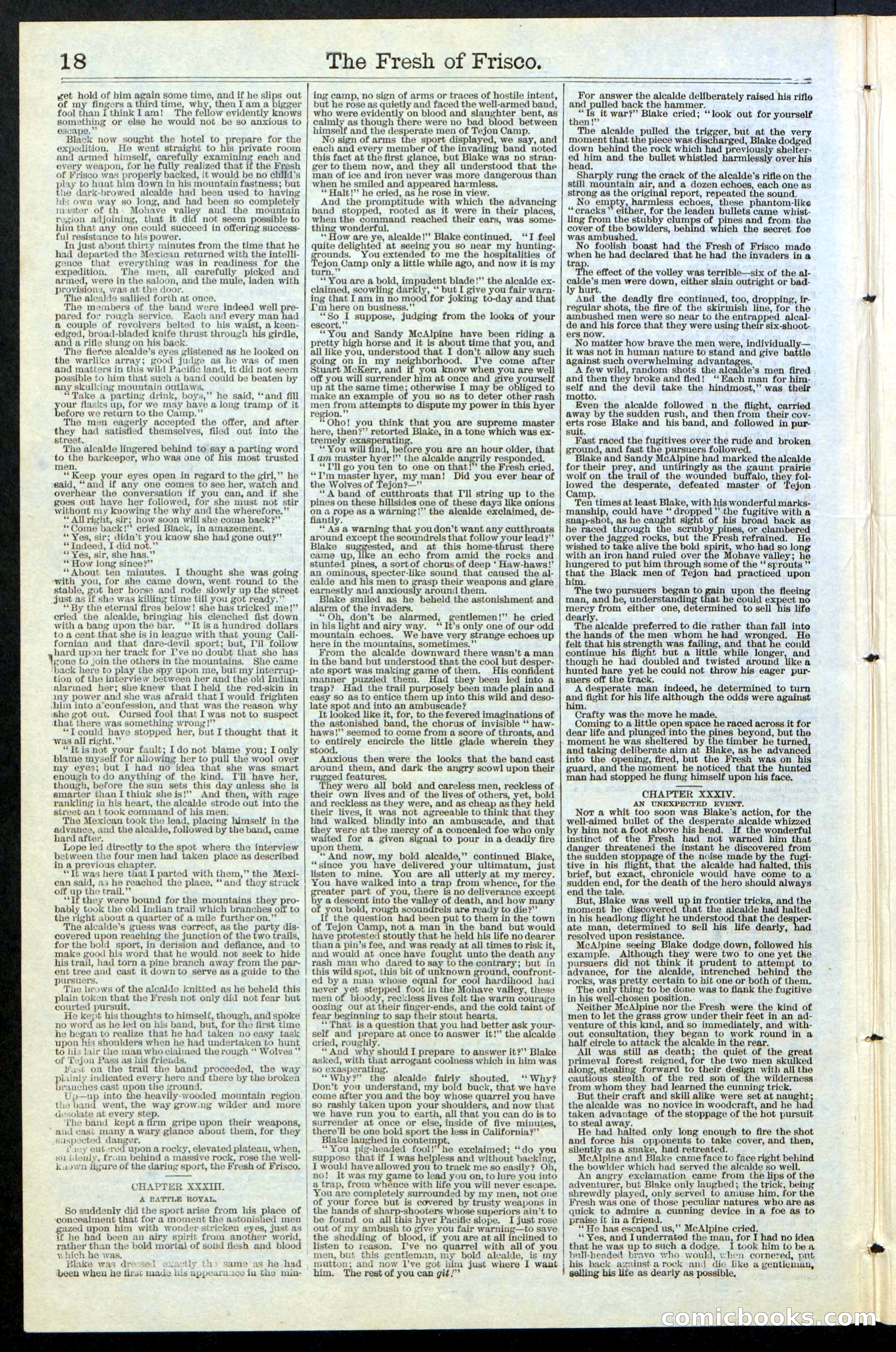 Beadle's New York Dime Library, No. 77 — page 18 of 24