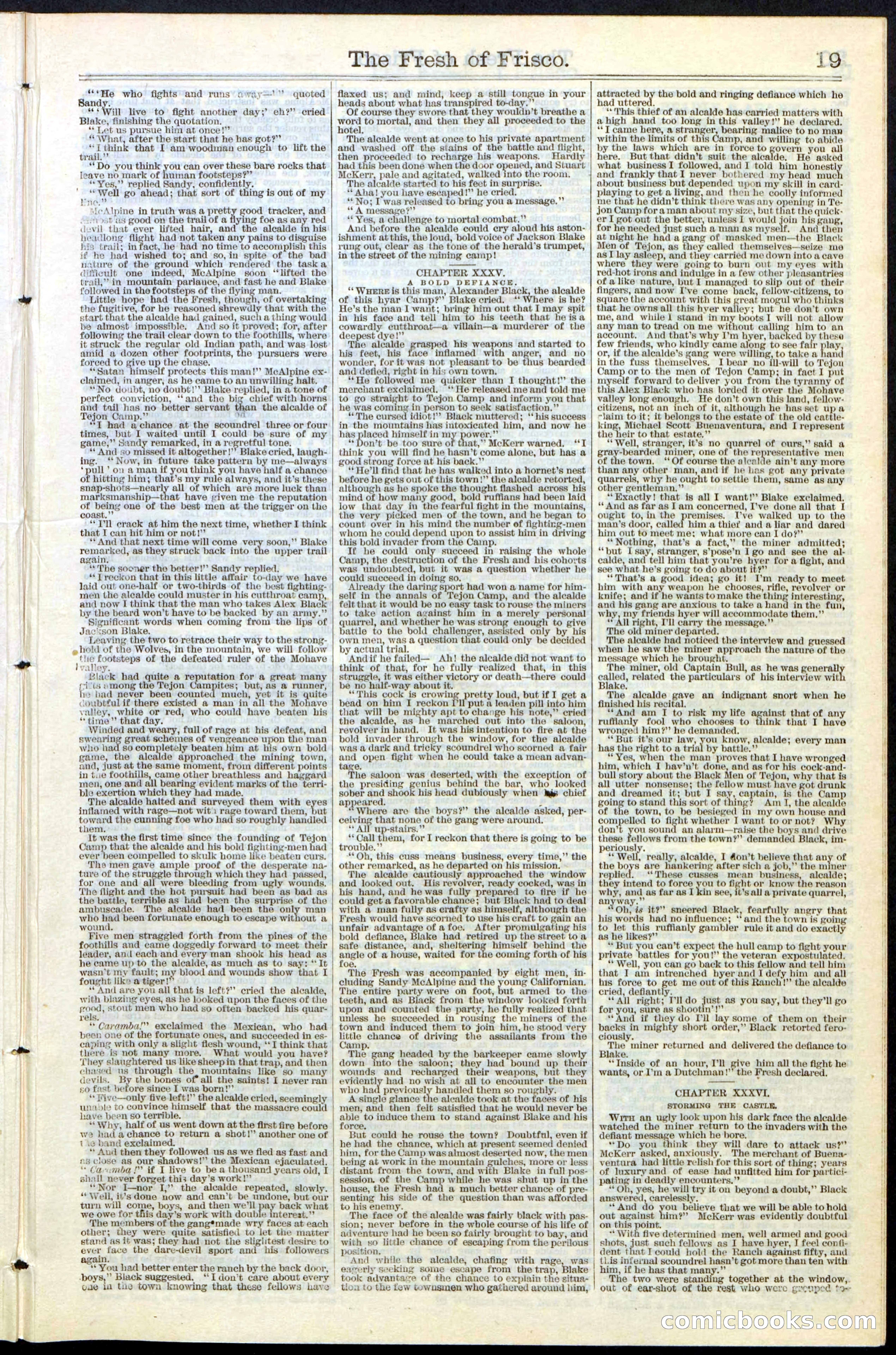 Beadle's New York Dime Library, No. 77 — page 19 of 24
