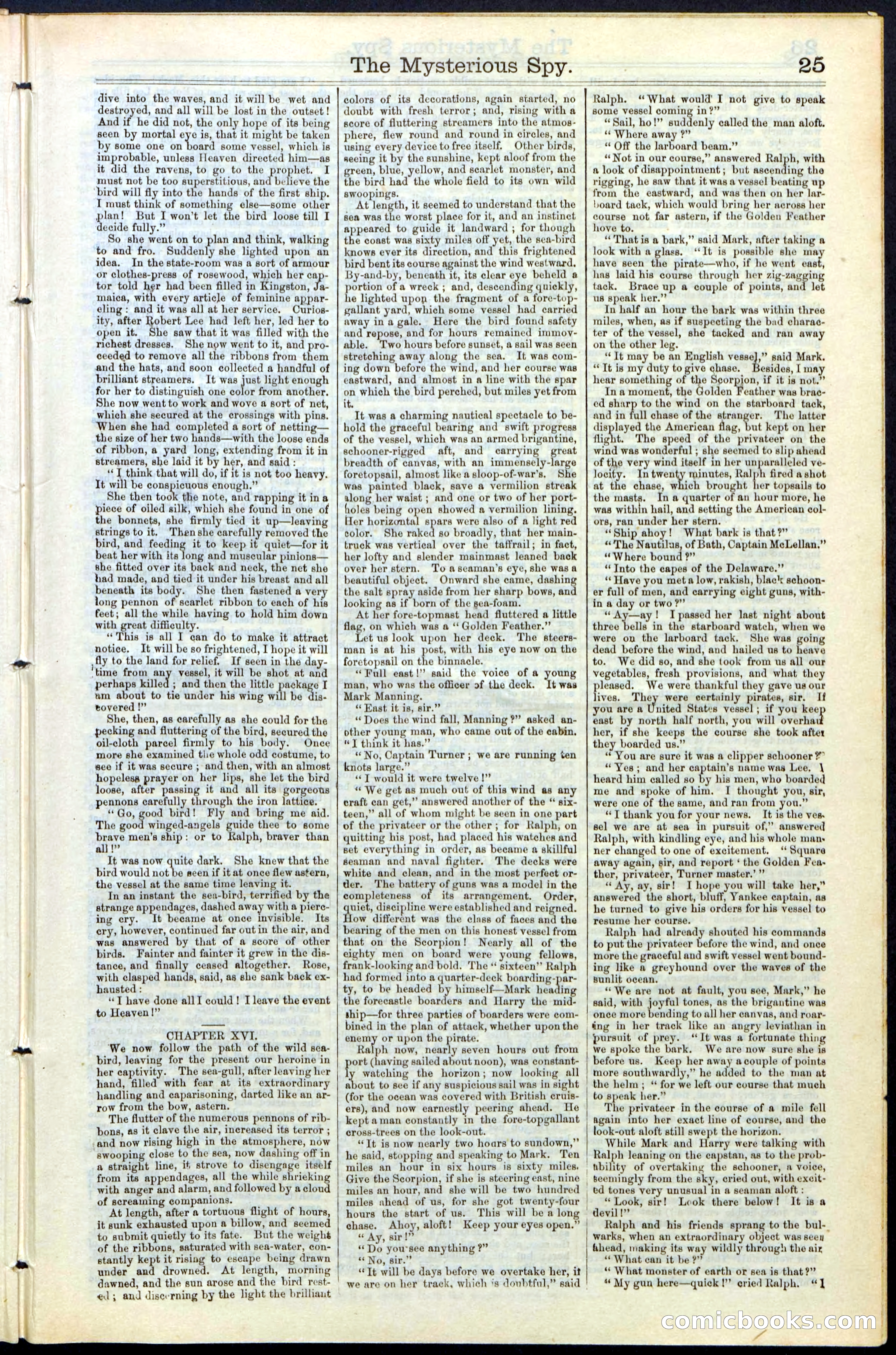 Beadle's New York Dime Library No. 78 — page 25 of 32