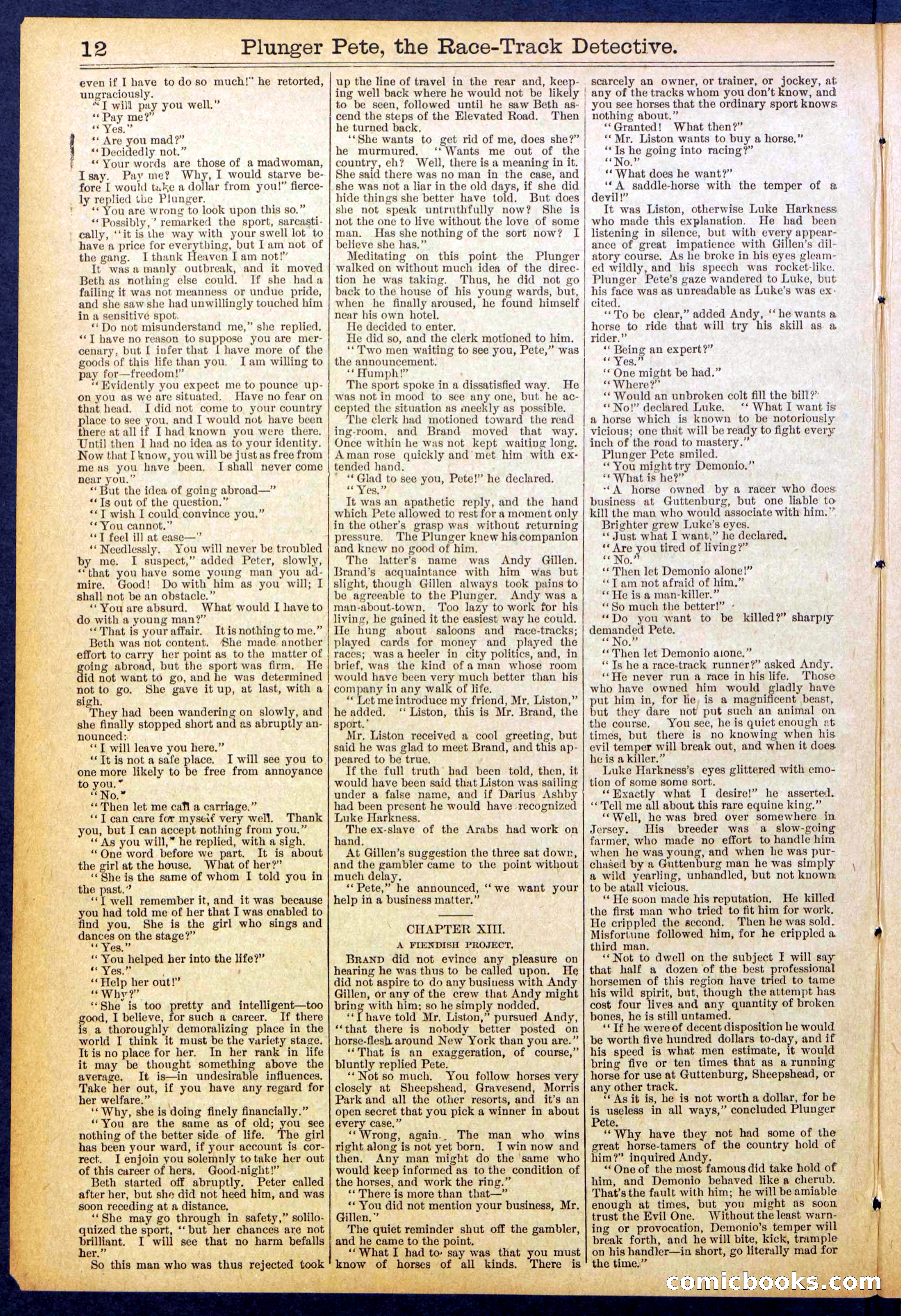 Beadle's New York Dime Library No. 790 — page 12 of 32