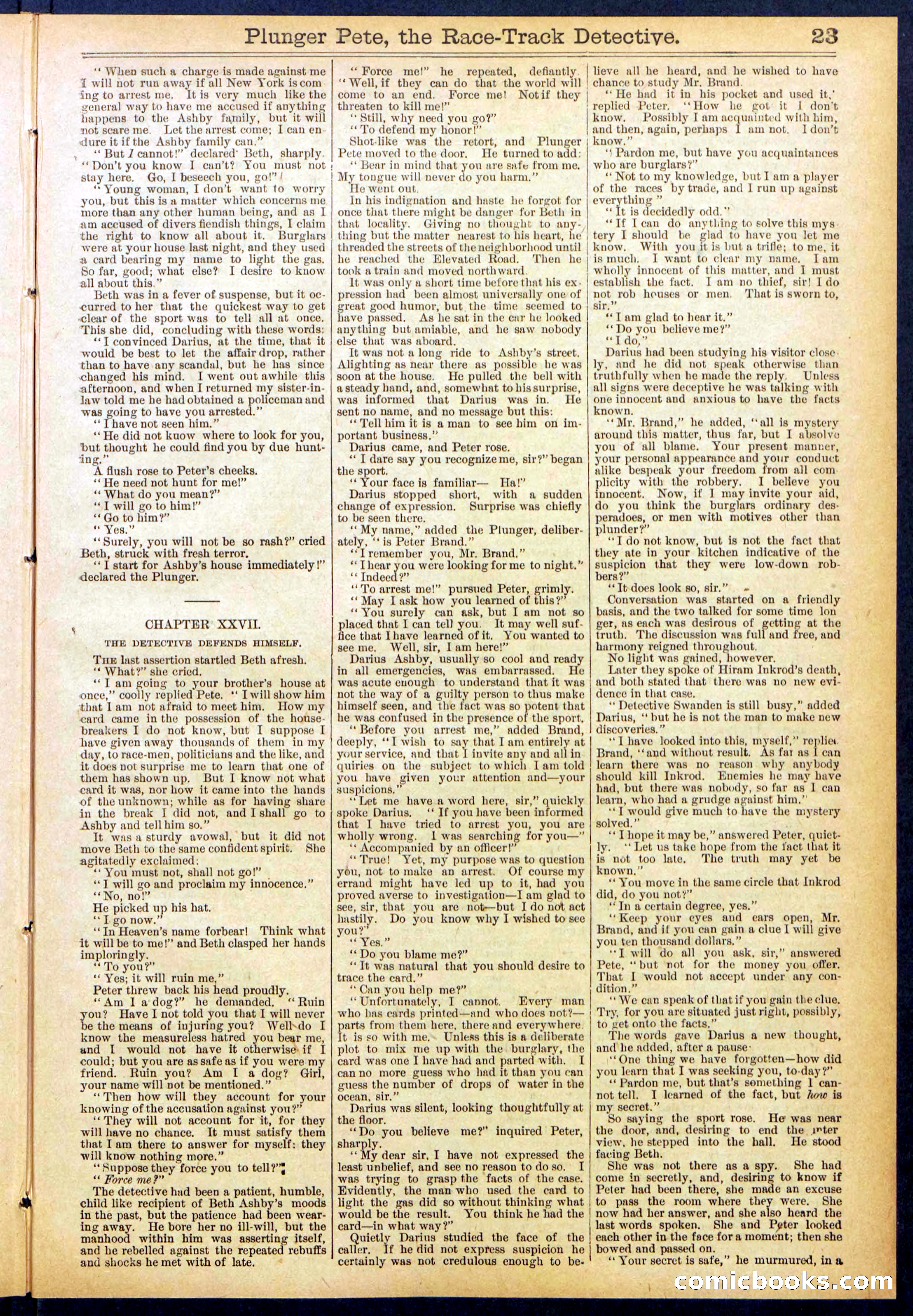 Beadle's New York Dime Library No. 790 — page 23 of 32