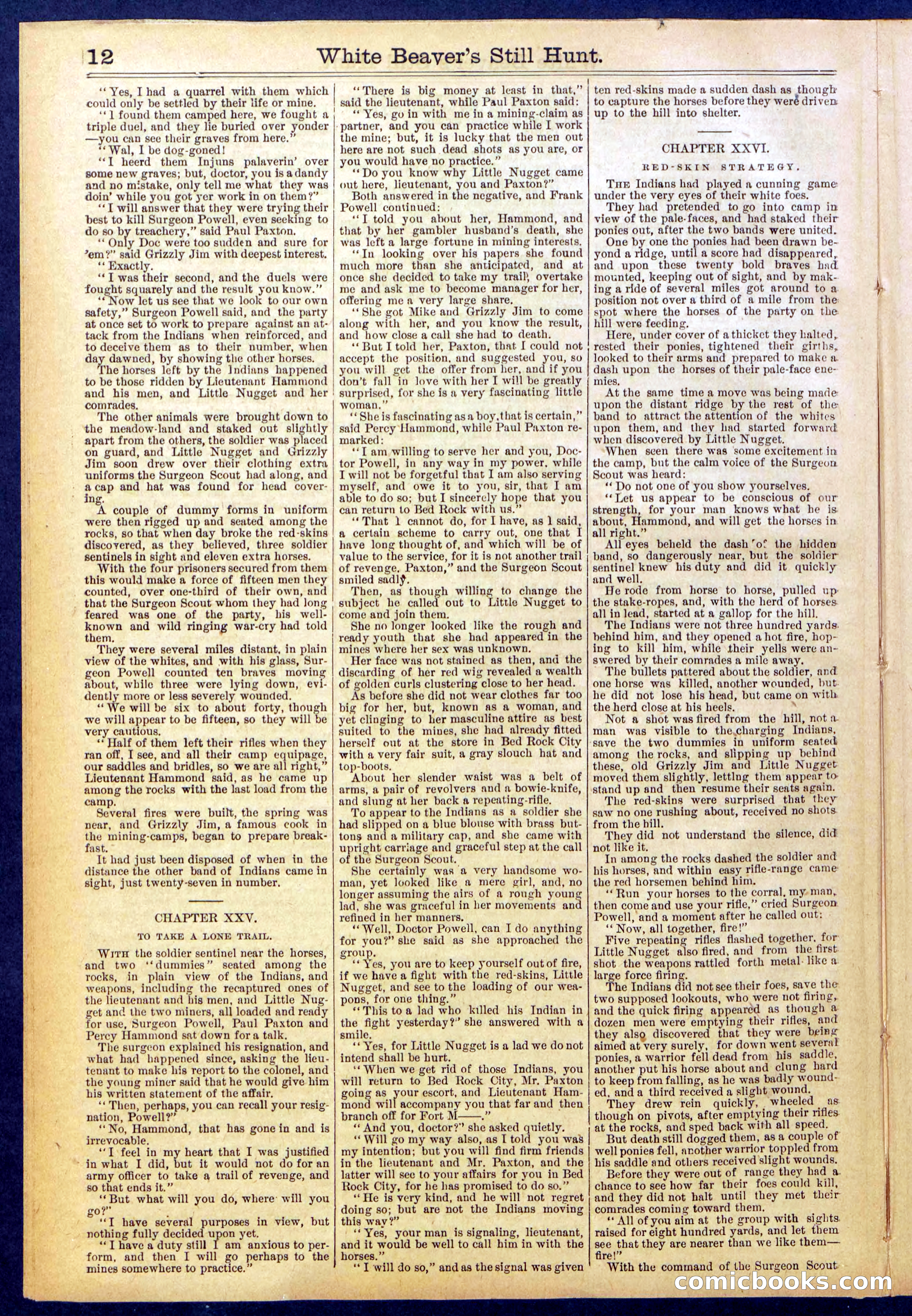 Beadle's Dime Library No. 820 — page 12 of 32