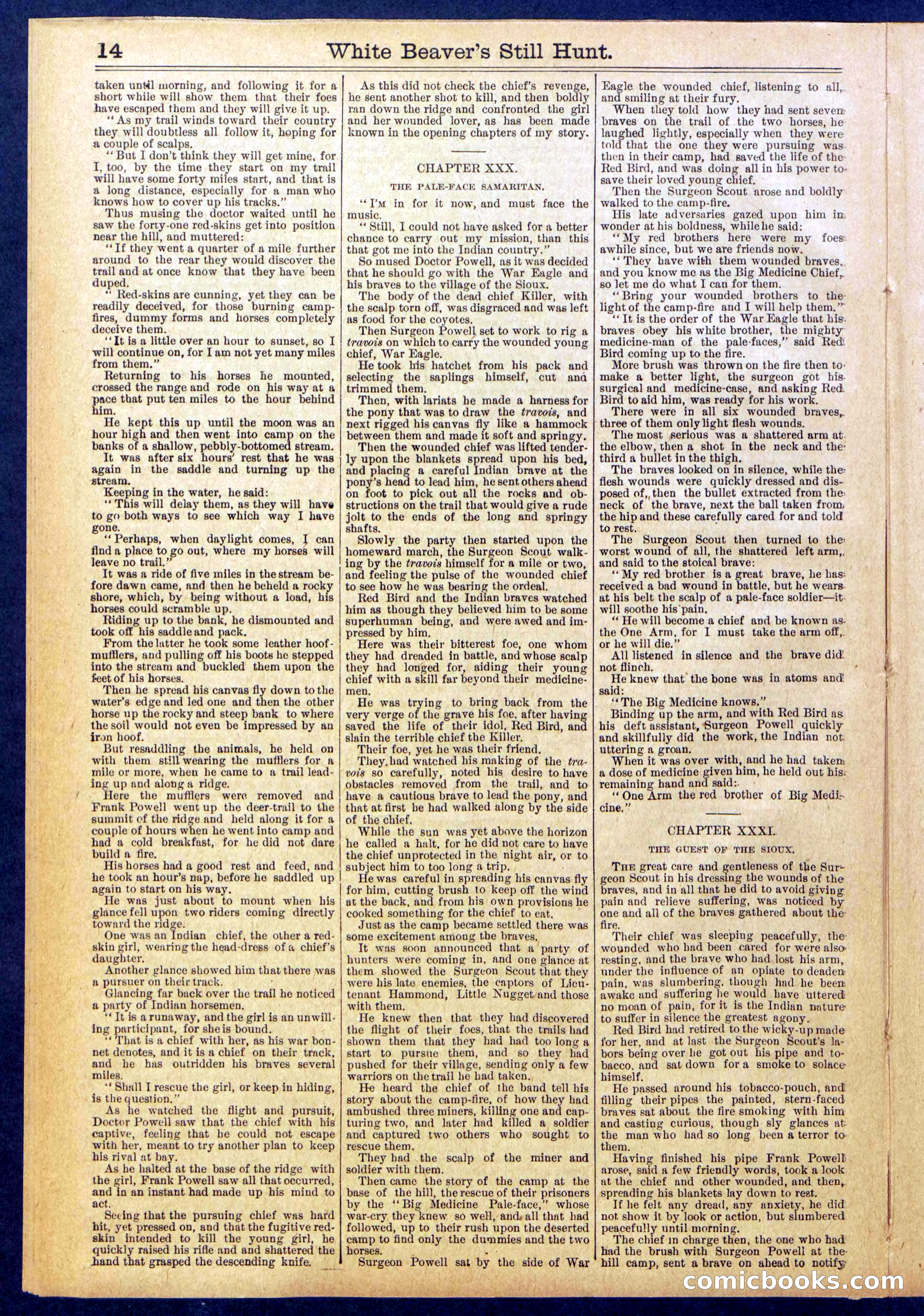 Beadle's Dime Library No. 820 — page 14 of 32