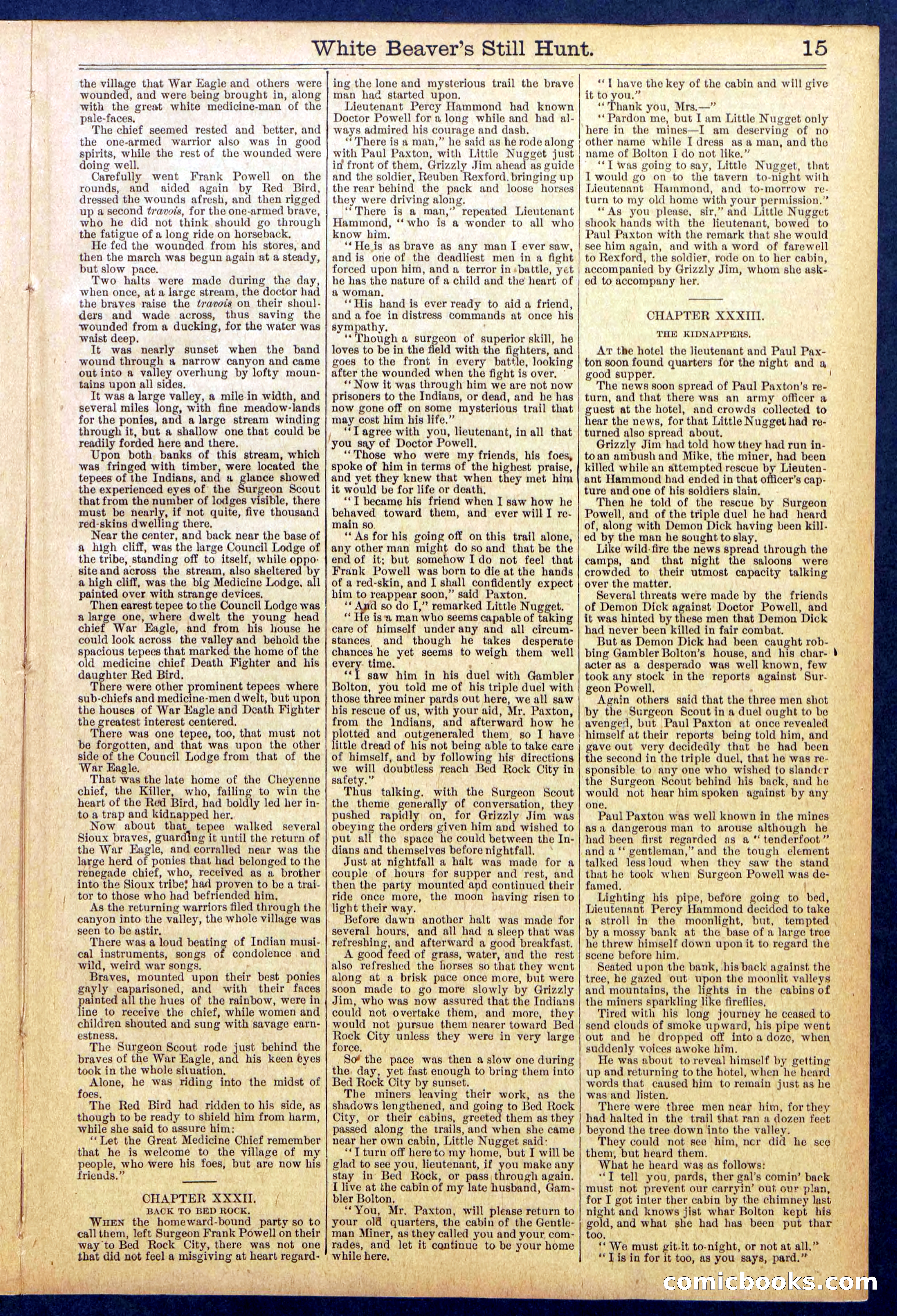 Beadle's Dime Library No. 820 — page 15 of 32