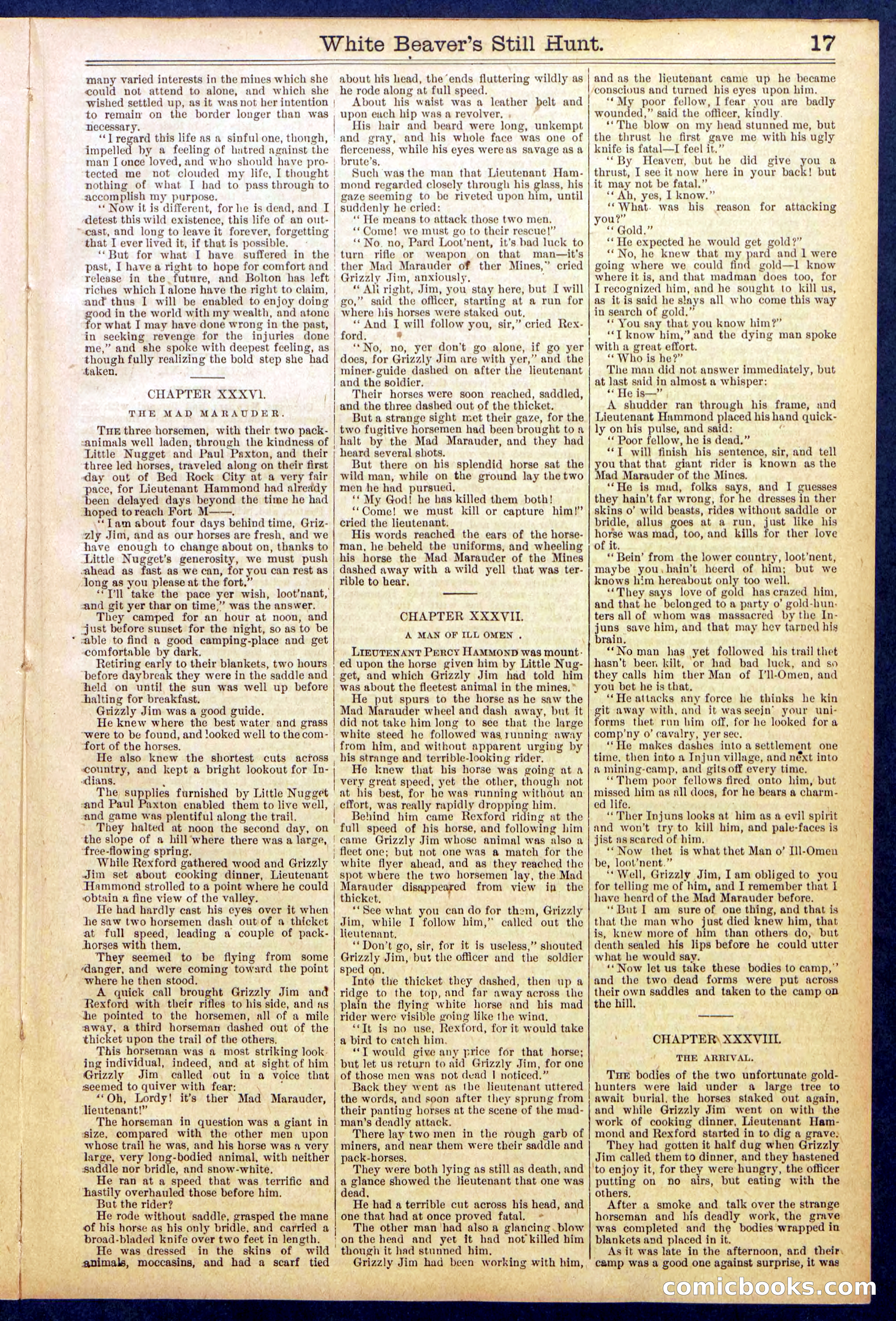 Beadle's Dime Library No. 820 — page 17 of 32
