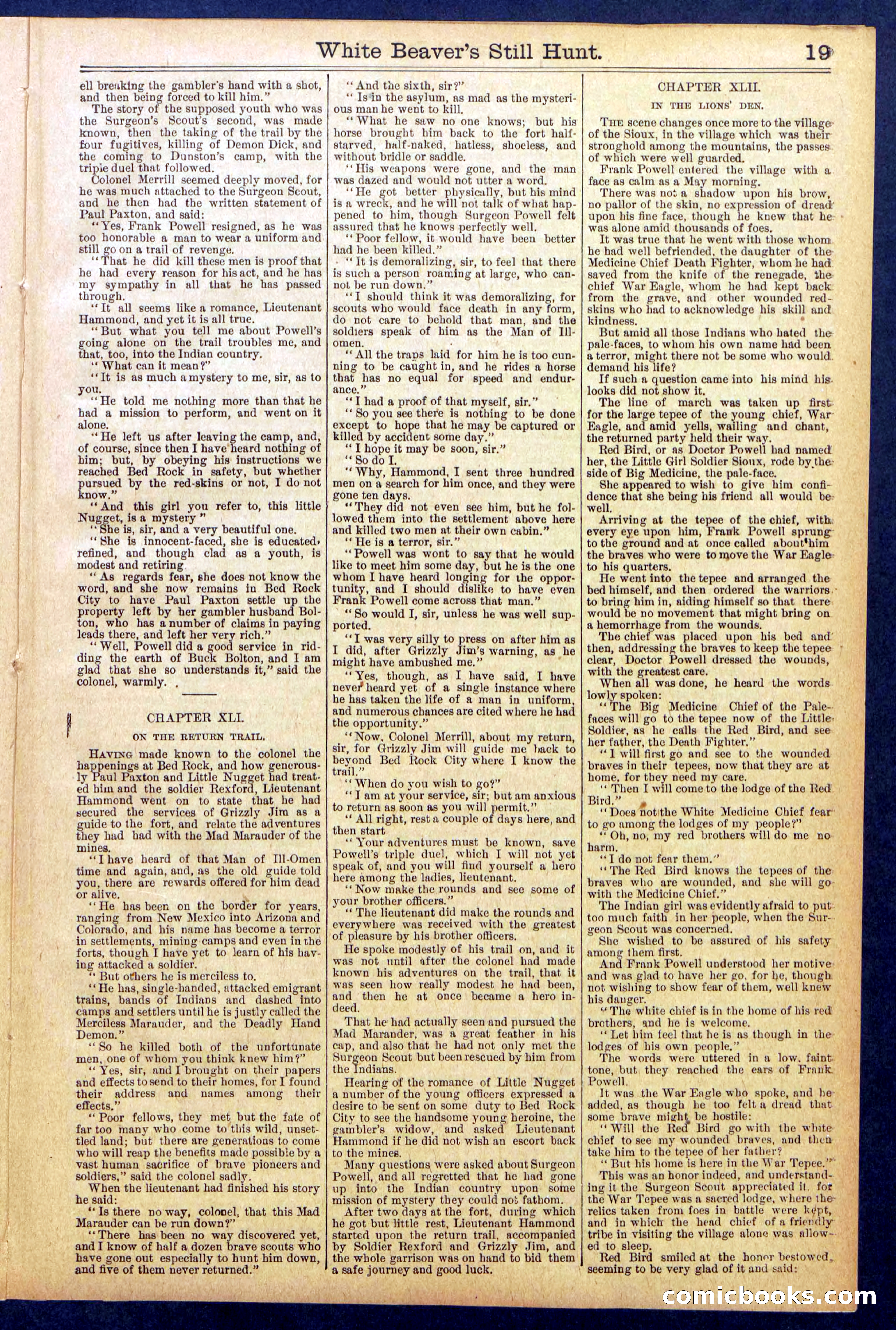 Beadle's Dime Library No. 820 — page 19 of 32