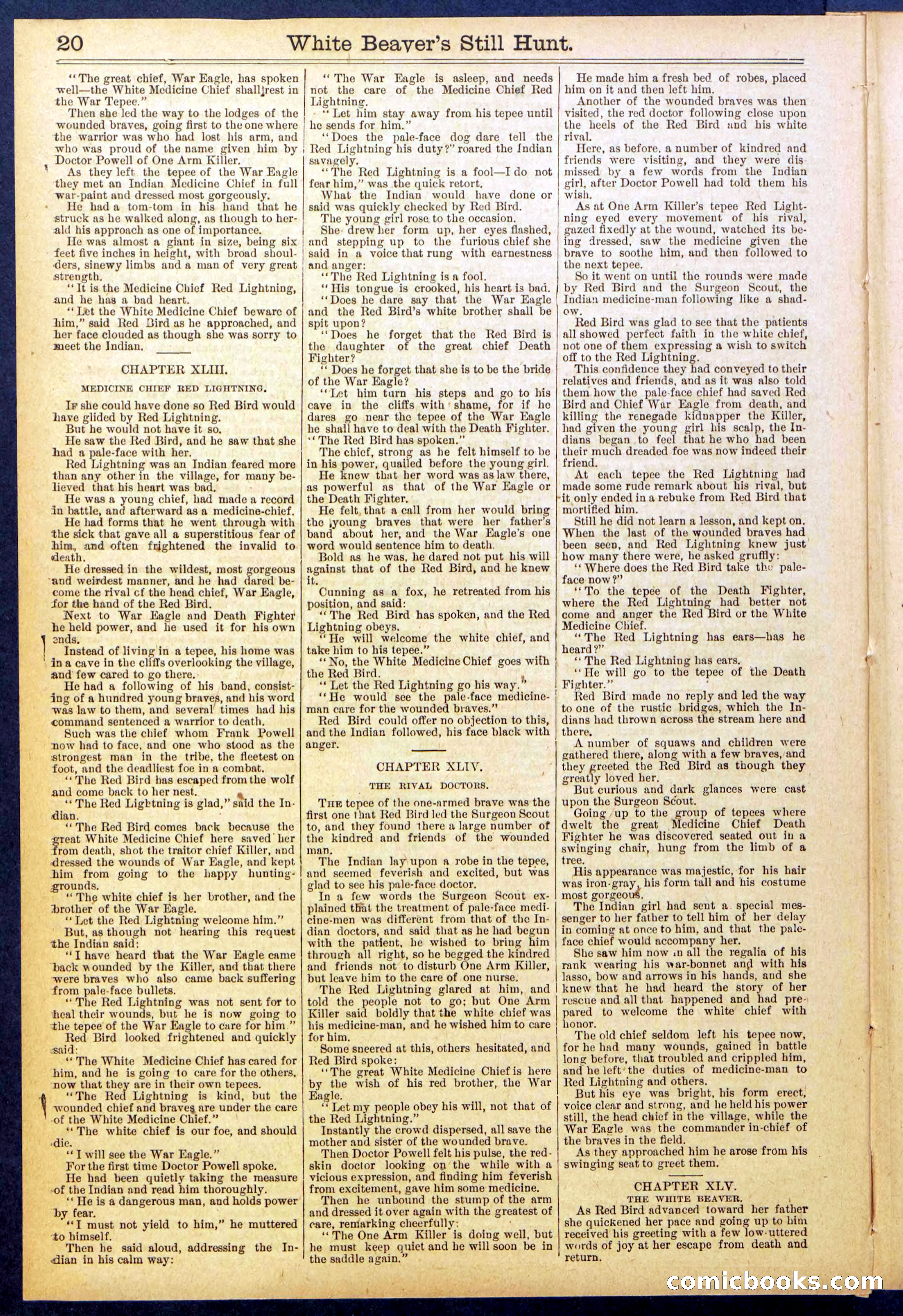 Beadle's Dime Library No. 820 — page 20 of 32