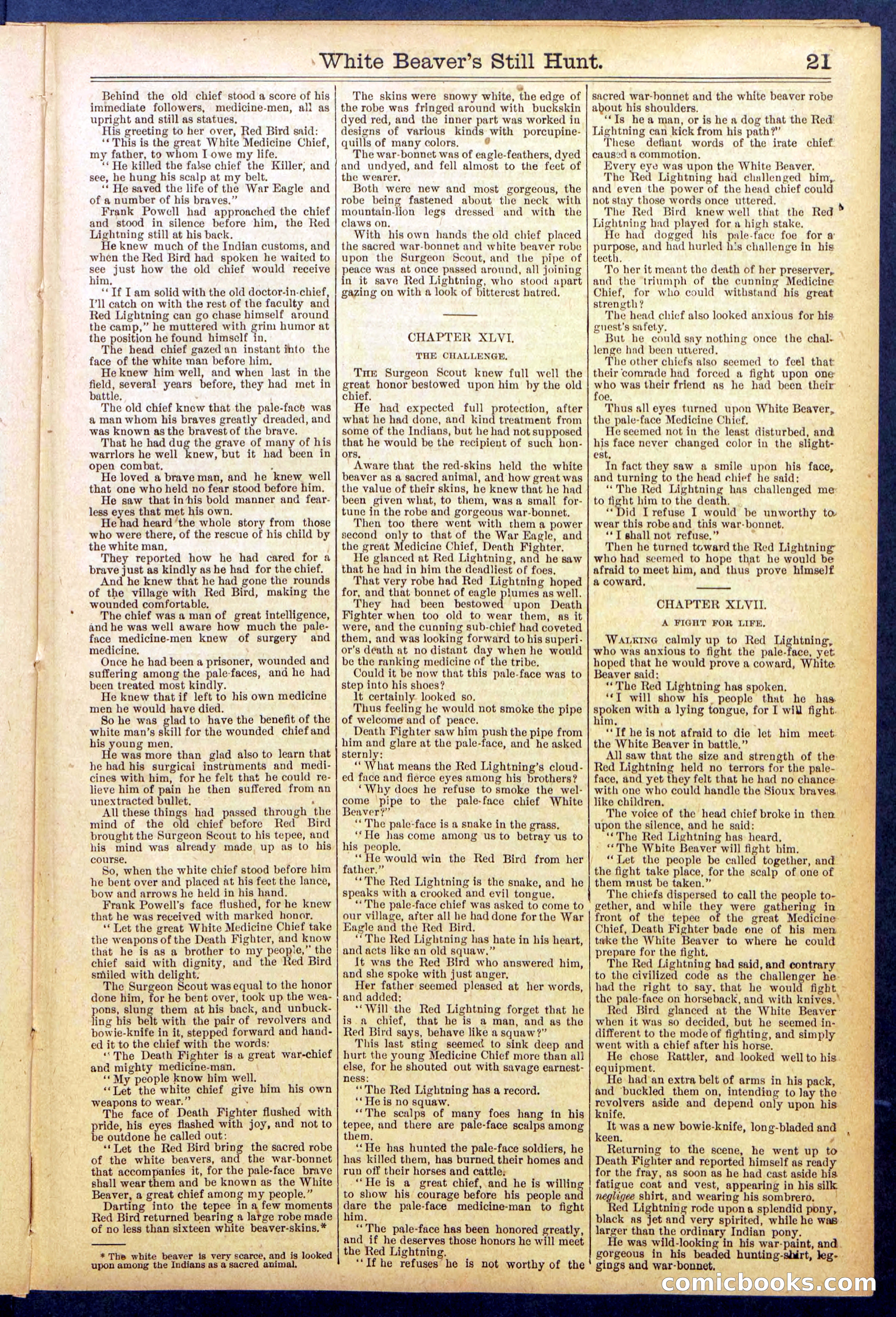 Beadle's Dime Library No. 820 — page 21 of 32