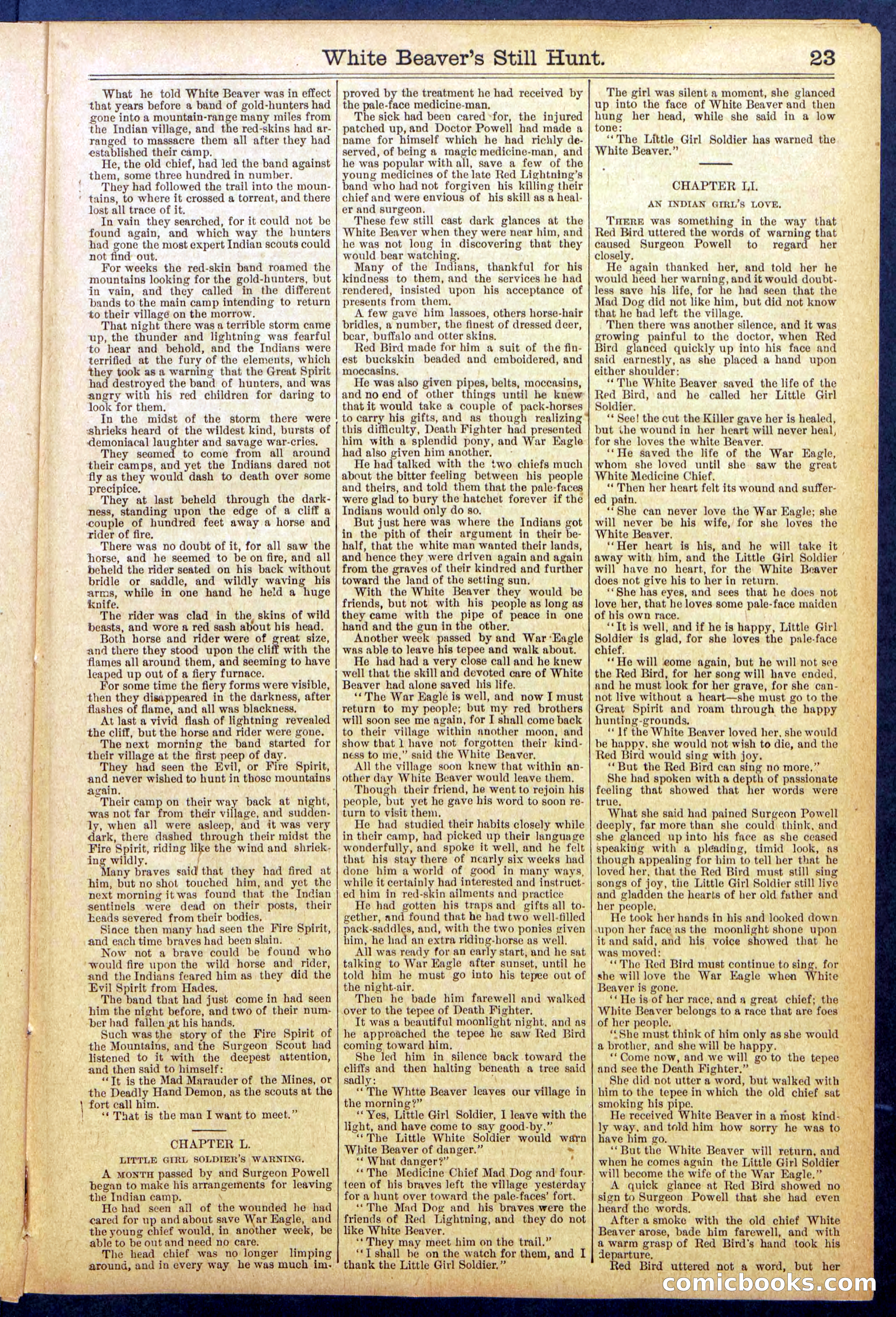 Beadle's Dime Library No. 820 — page 23 of 32
