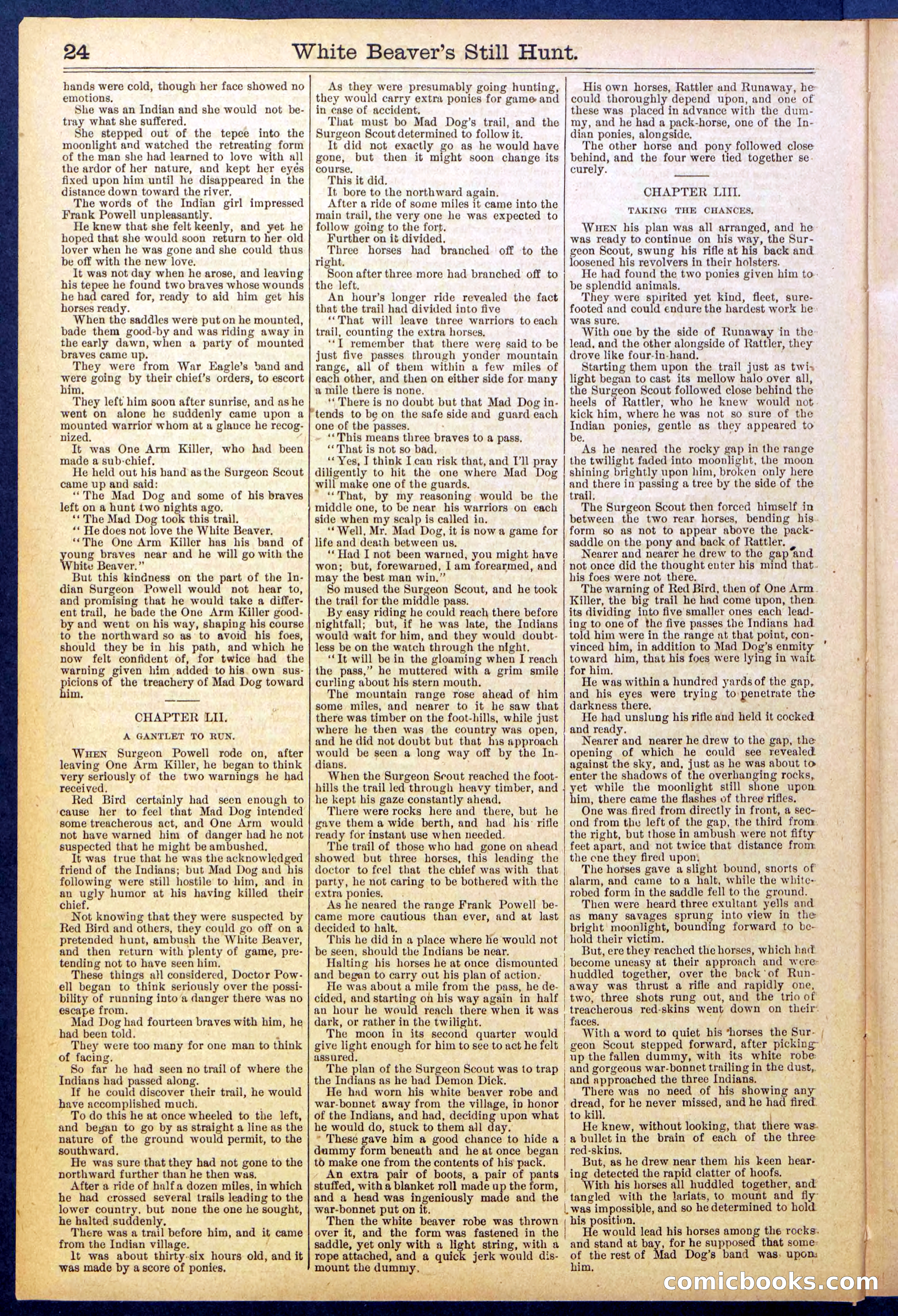 Beadle's Dime Library No. 820 — page 24 of 32