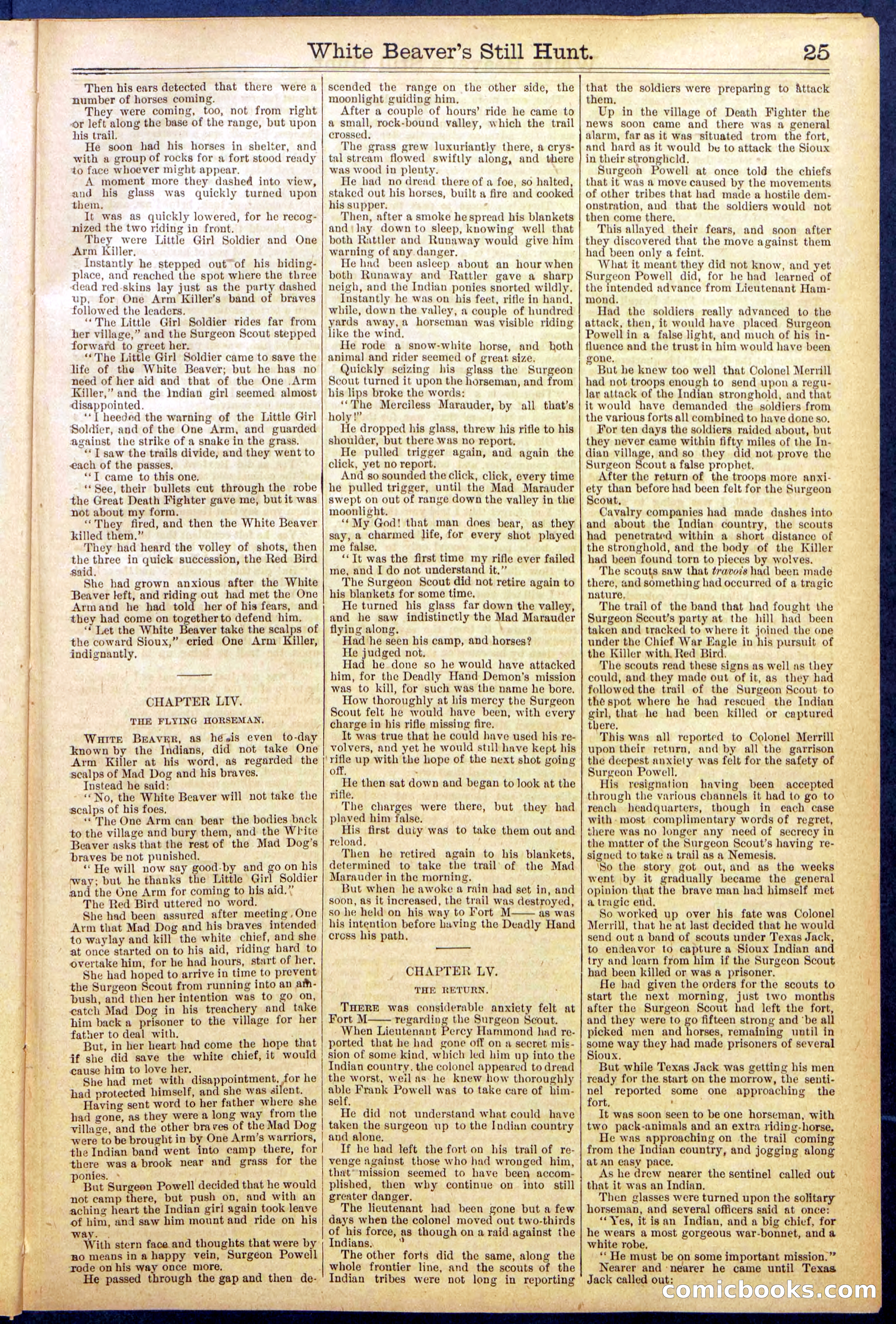 Beadle's Dime Library No. 820 — page 25 of 32