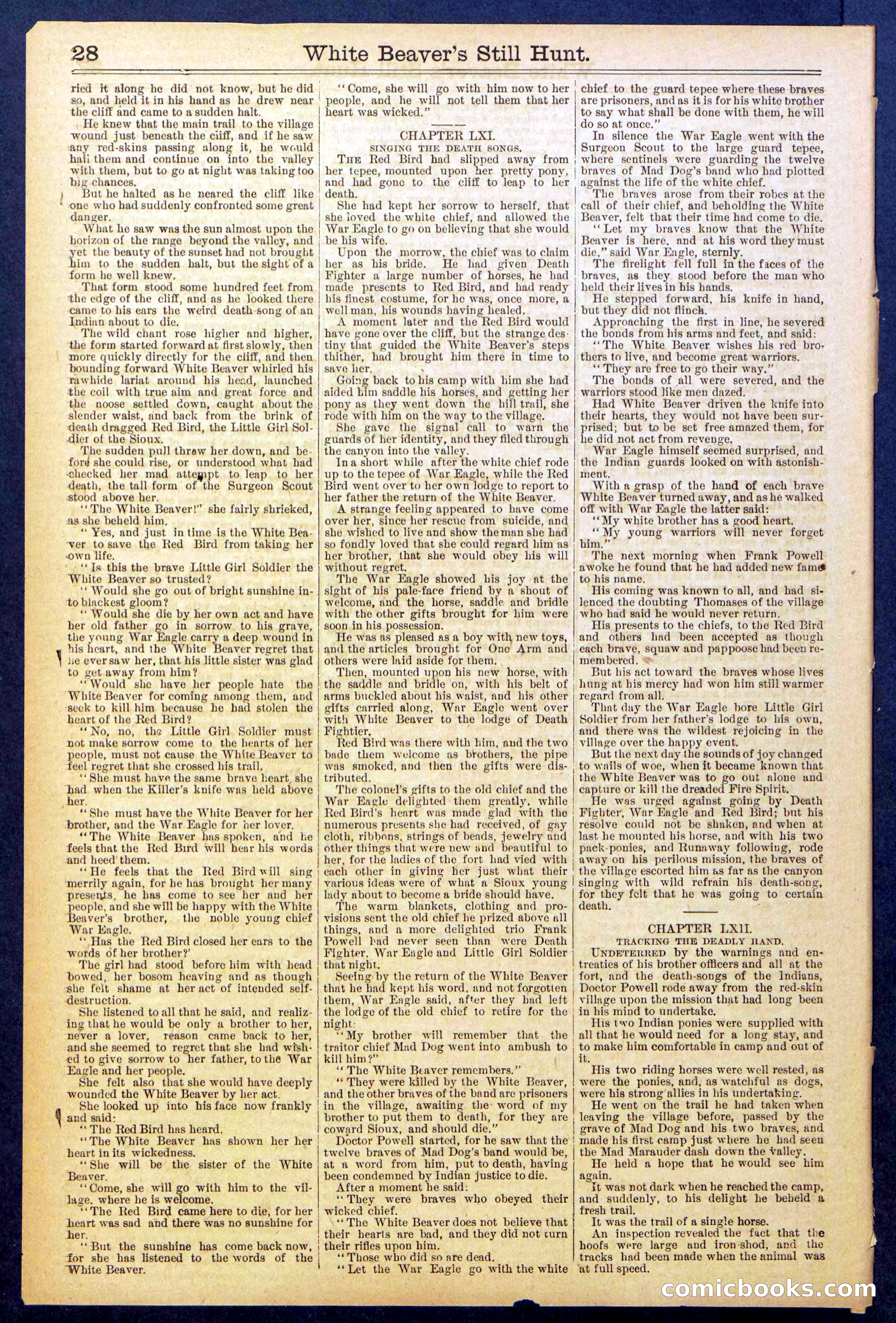 Beadle's Dime Library No. 820 — page 28 of 32