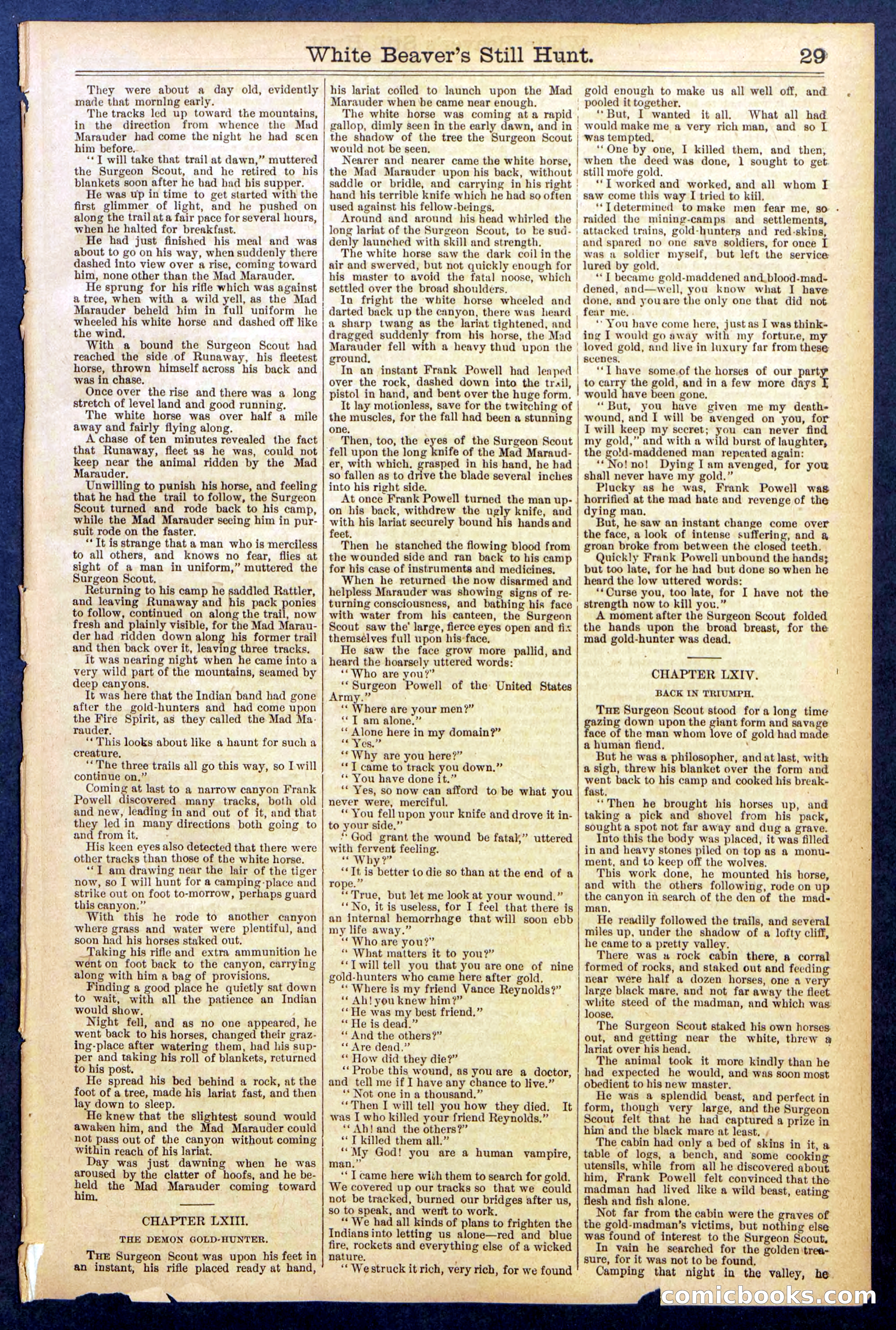 Beadle's Dime Library No. 820 — page 29 of 32